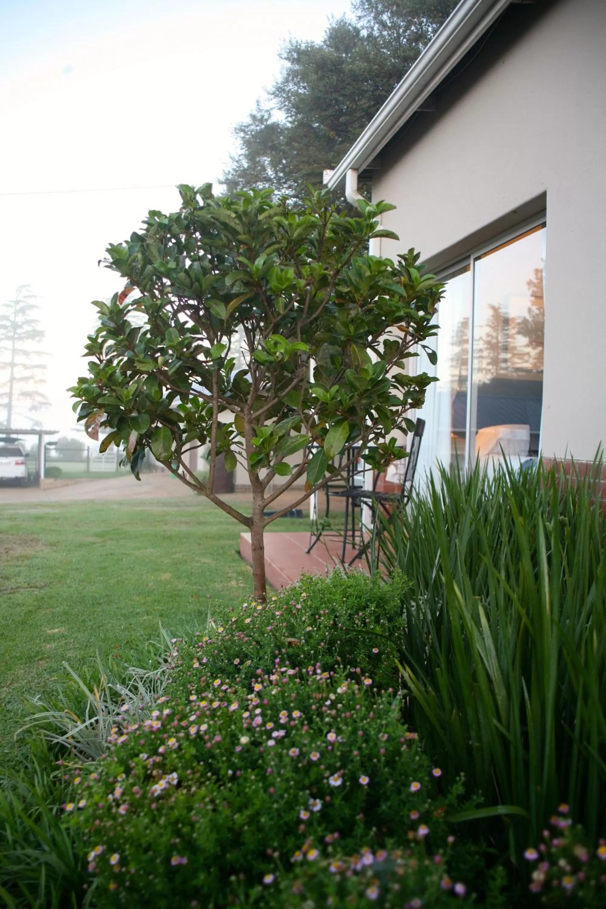 Garden in Sneezewood Farm Bed&Breakfast and Self-Catering Cottage
