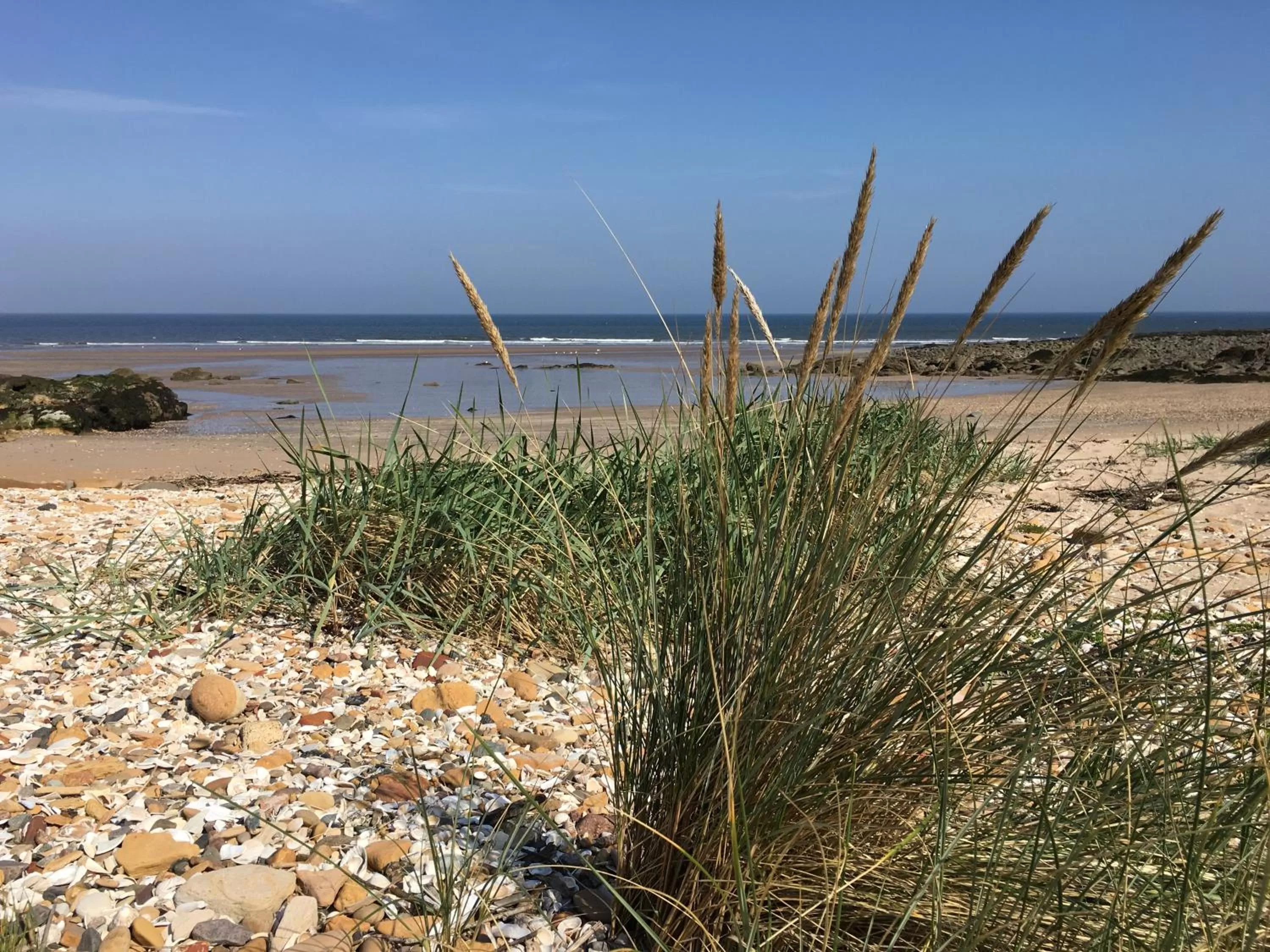 Natural landscape in Maple Cottage B&B
