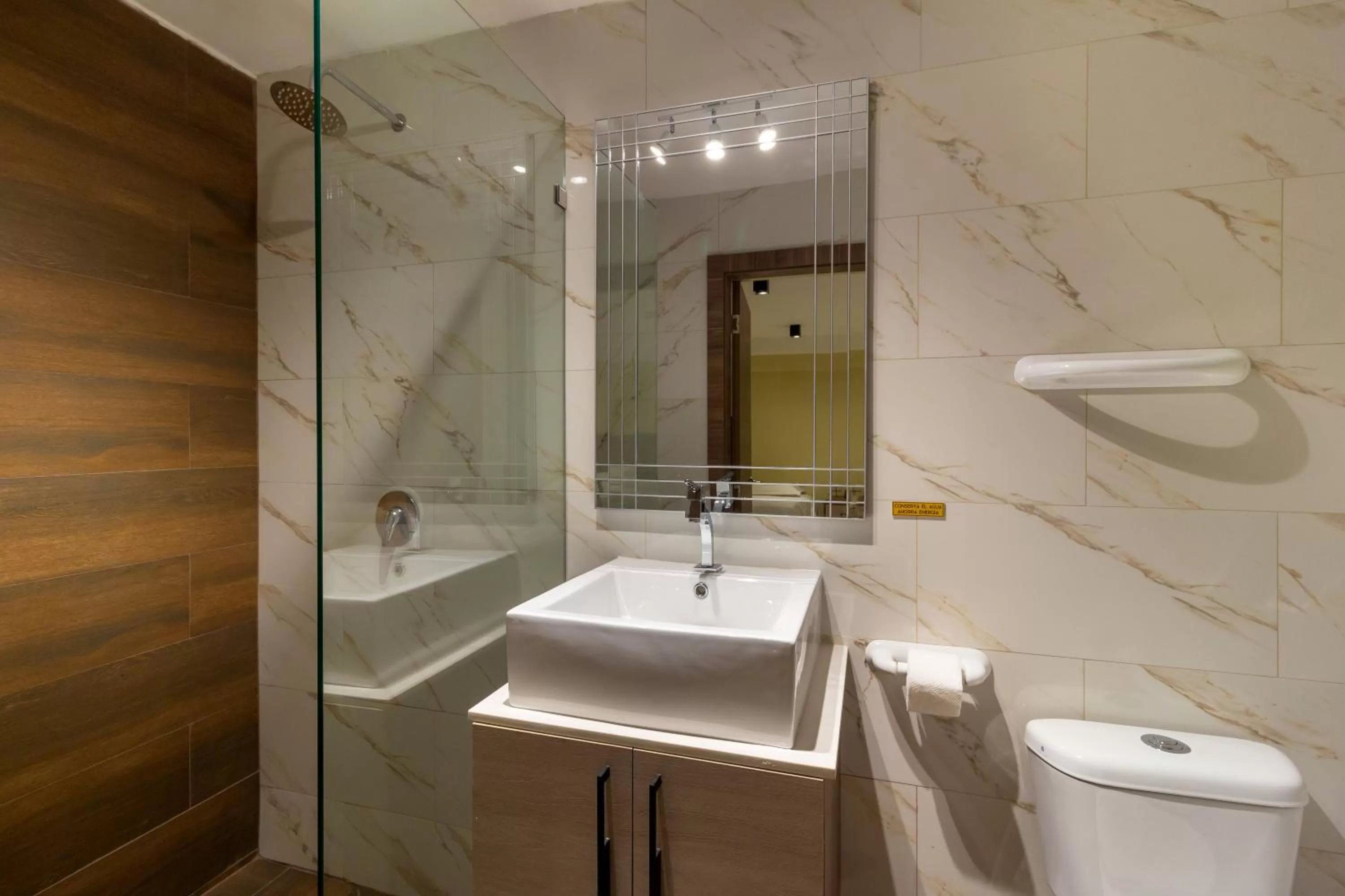 Shower in Hotel Sada