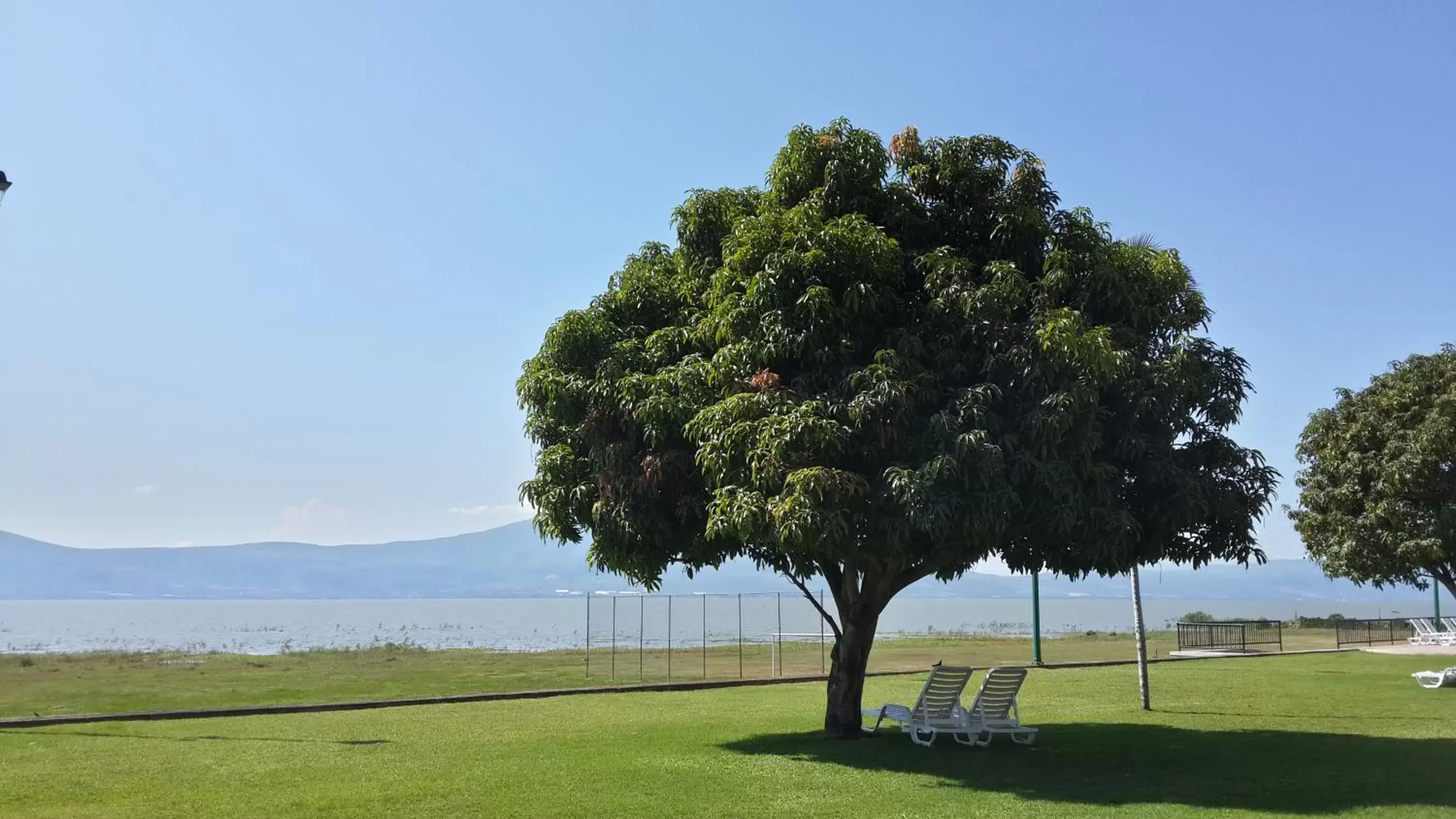 Garden in Real de Chapala