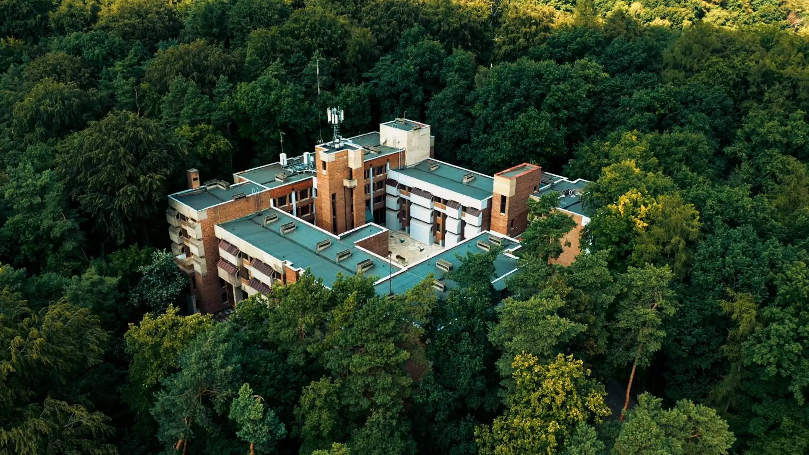 Property building, Bird's-eye View in Forest Hotel