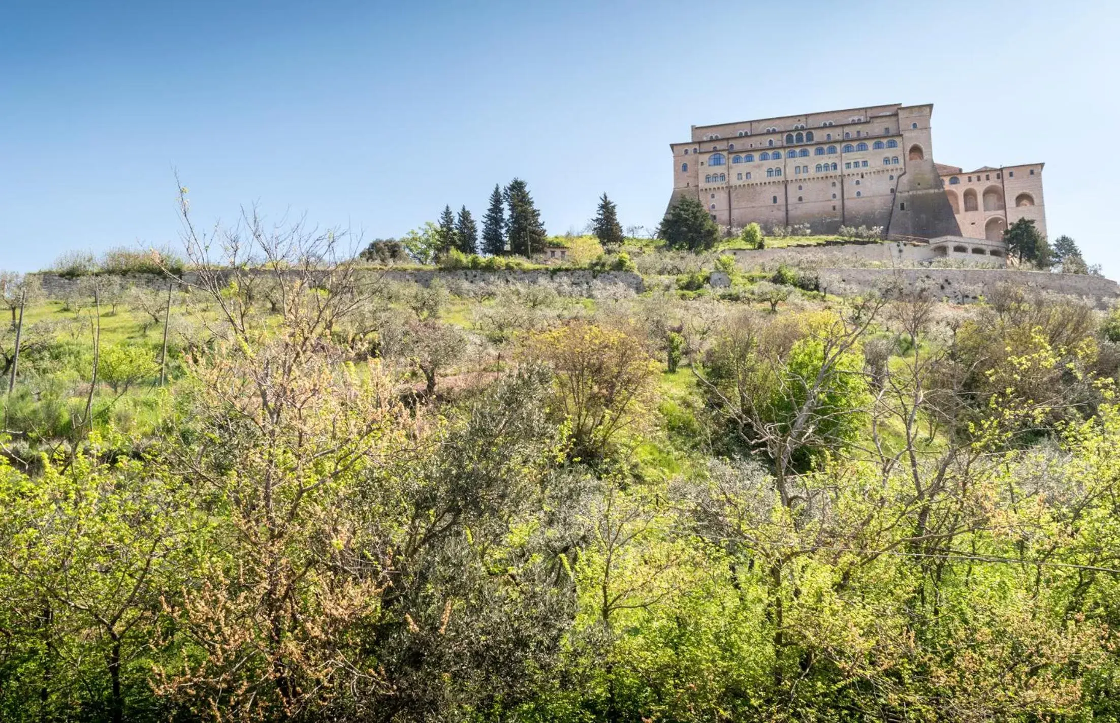 Neighbourhood, Property Building in La Piaggia