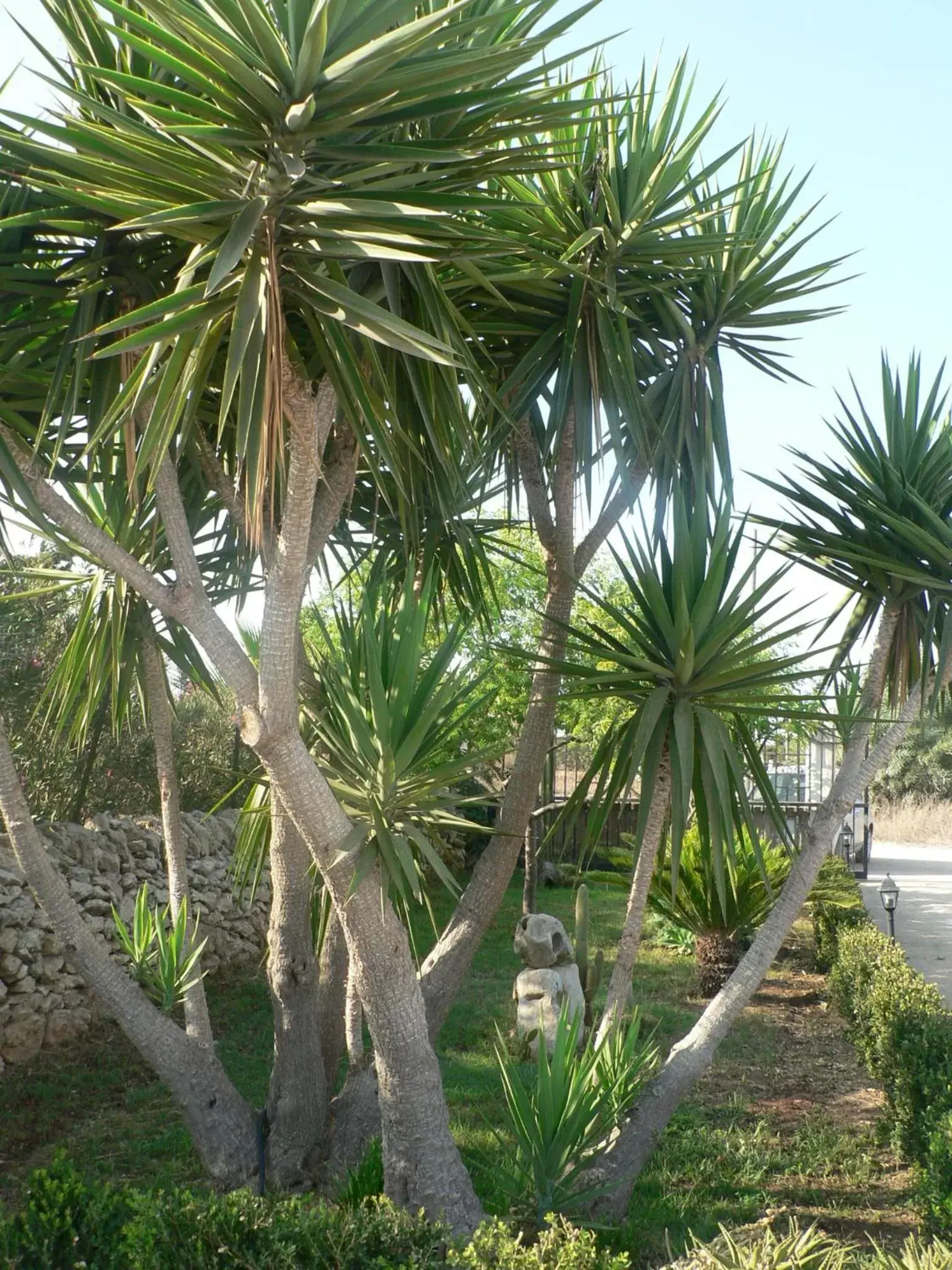 Garden in B&B Villa Francesco