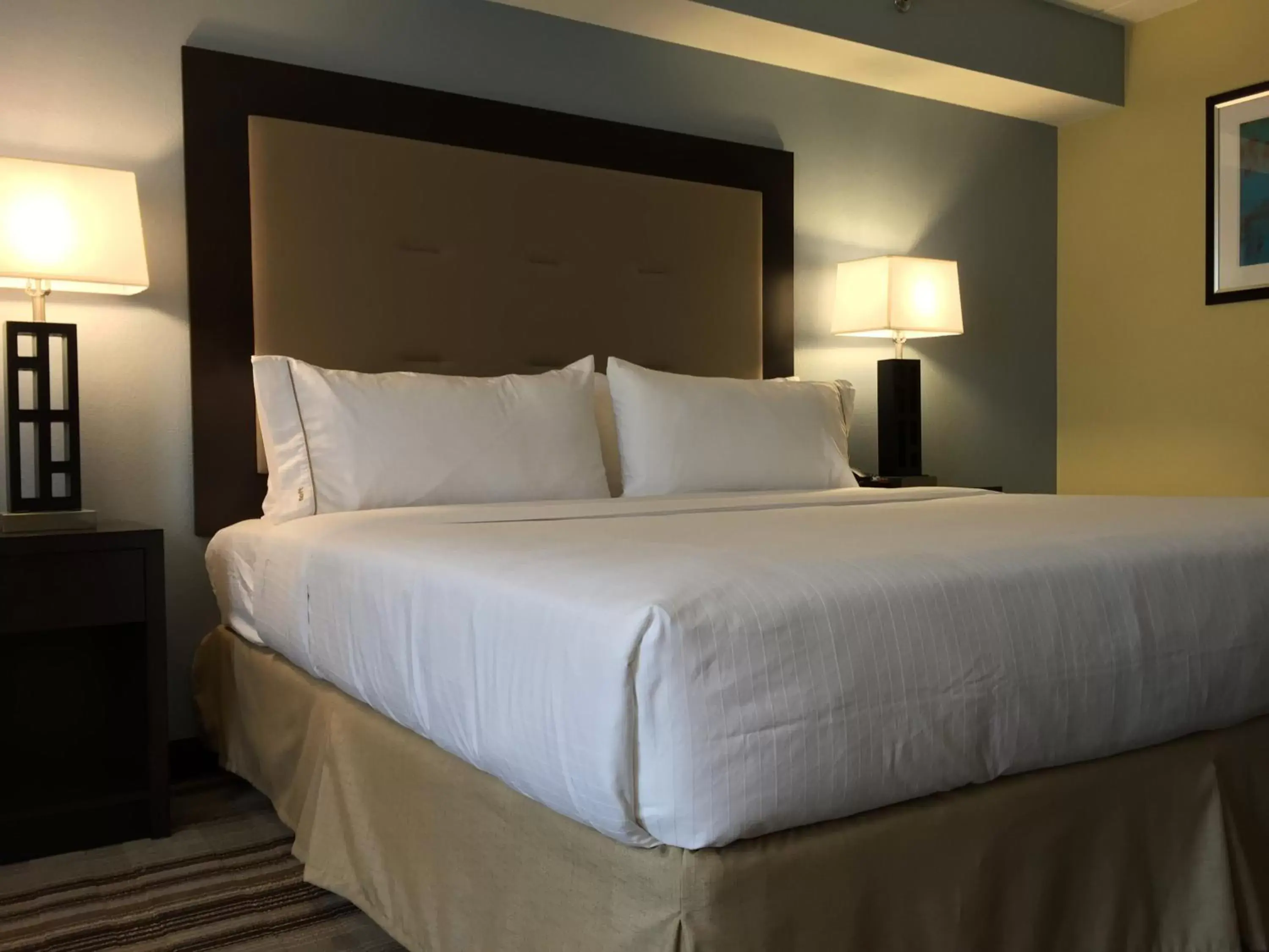 Photo of the whole room, Bed in Holiday Inn Express Chicago NW - Arlington Heights, an IHG Hotel