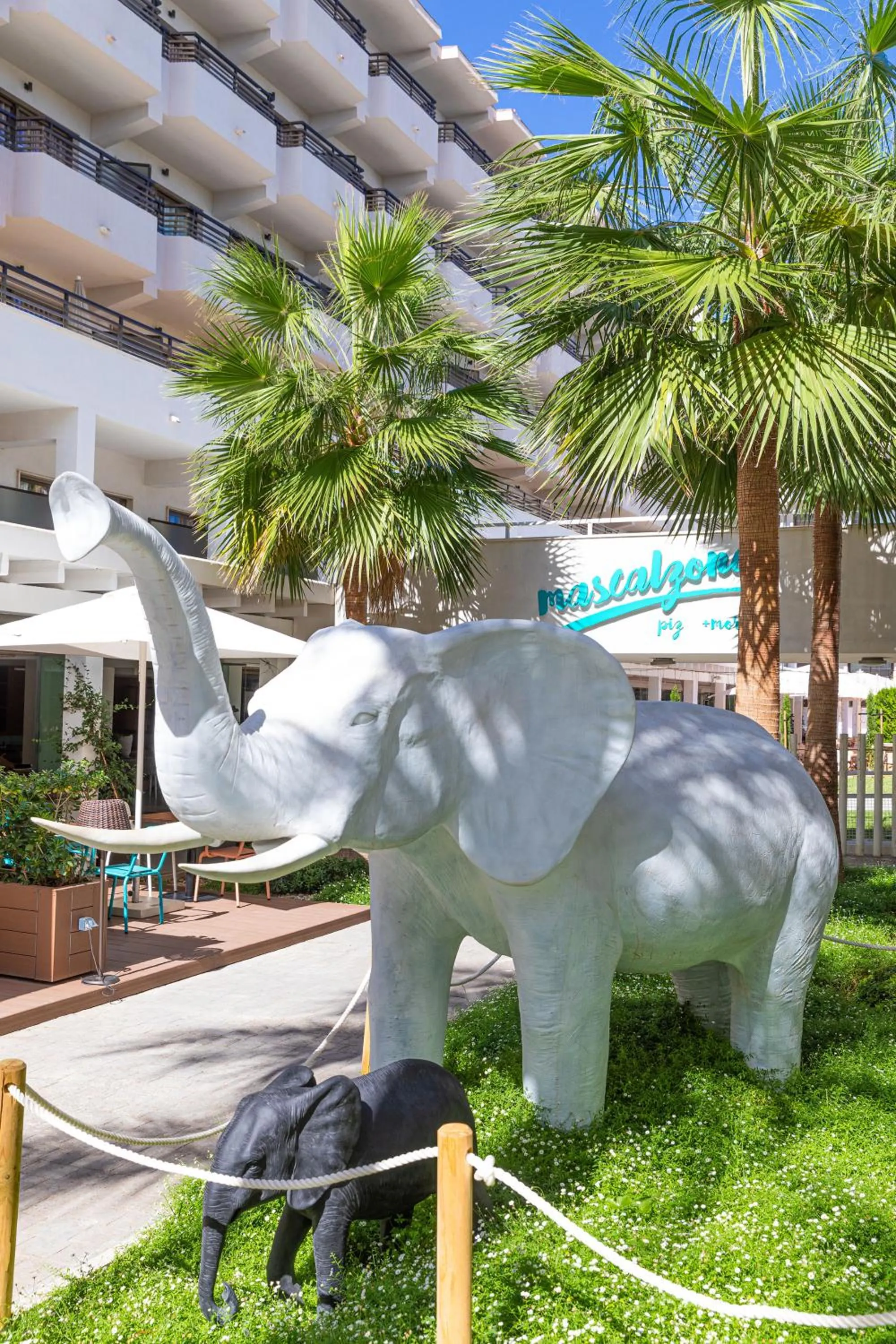 Restaurant/places to eat in INNSiDE by Meliá Alcudia