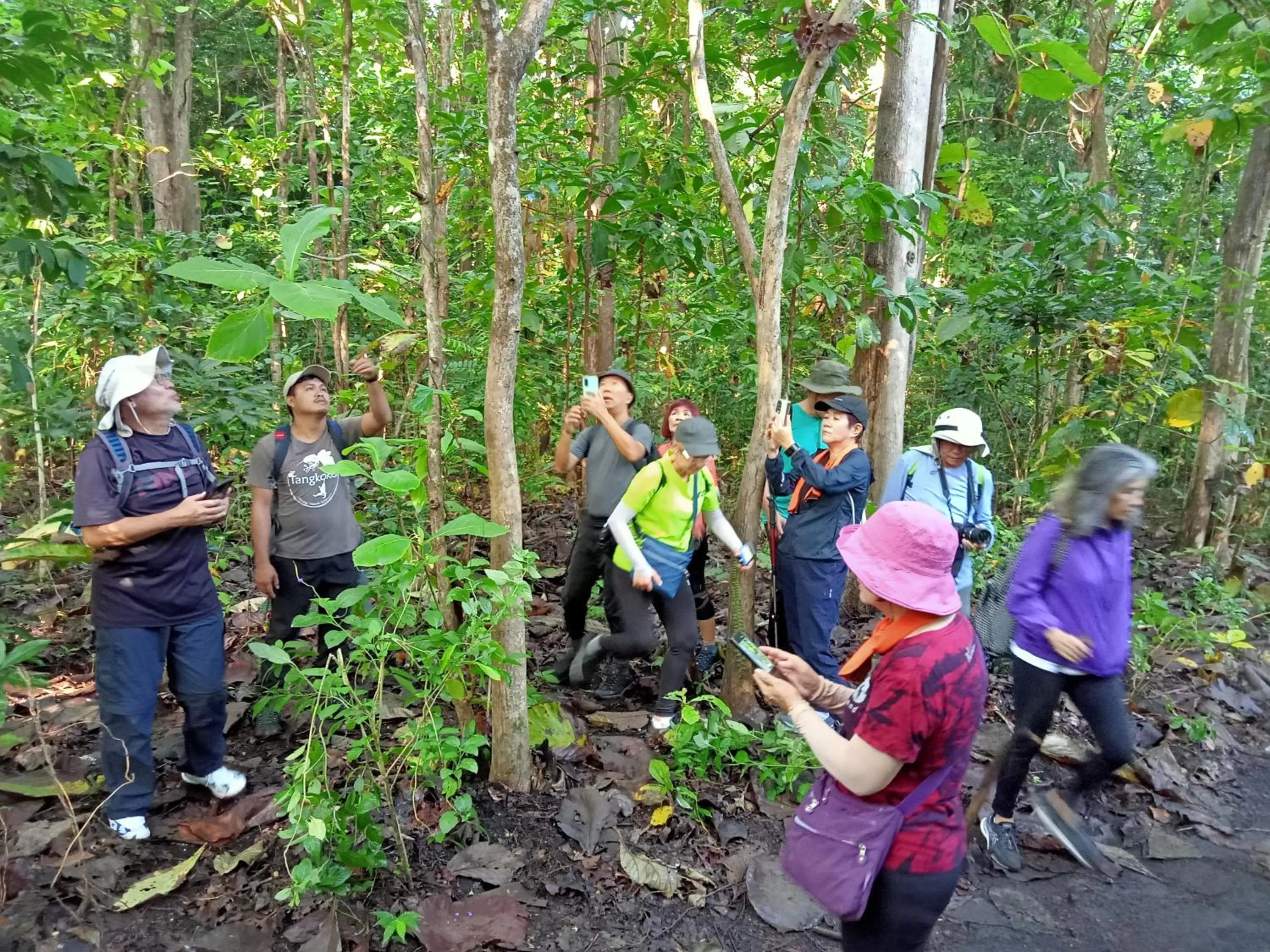 Activities in Tangkoko Lodge