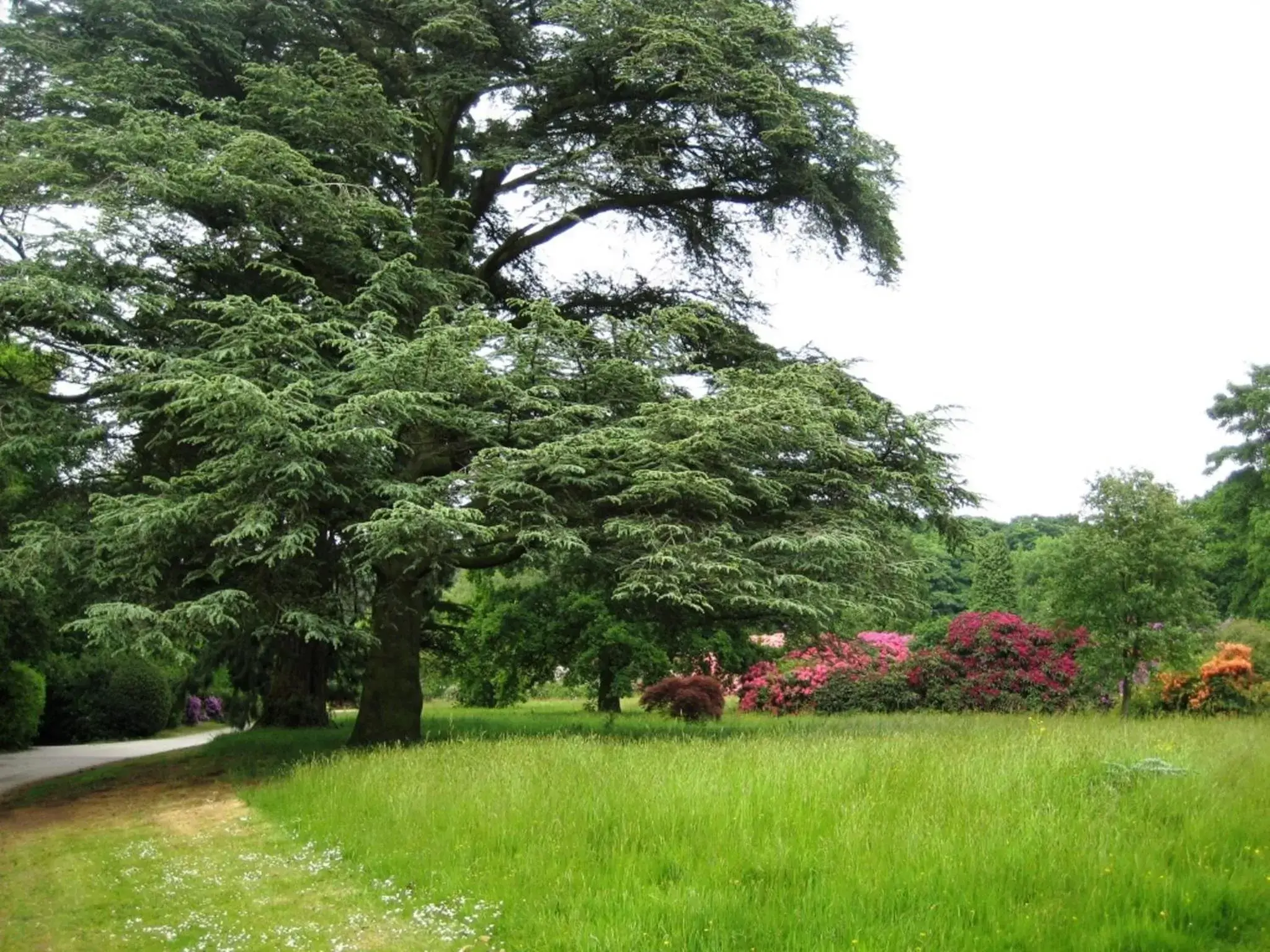 Garden in Willington Hall Hotel