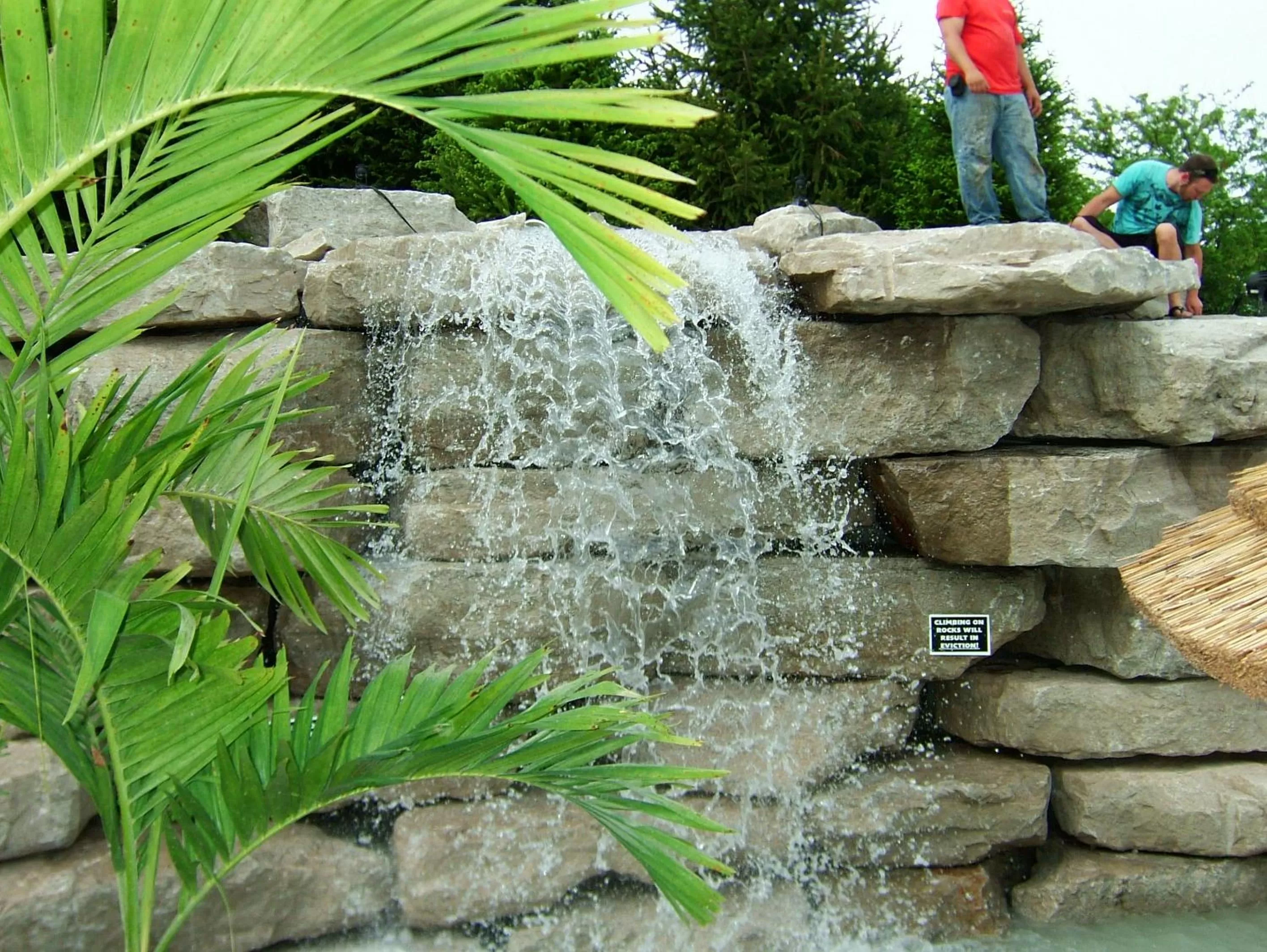 Garden in Commodore Resort
