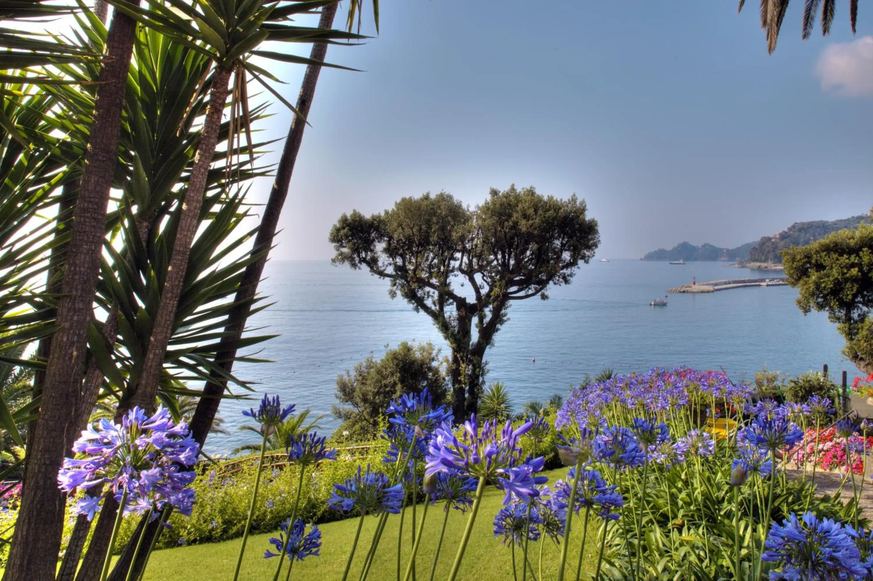 Spring, Sea View in Hotel Continental