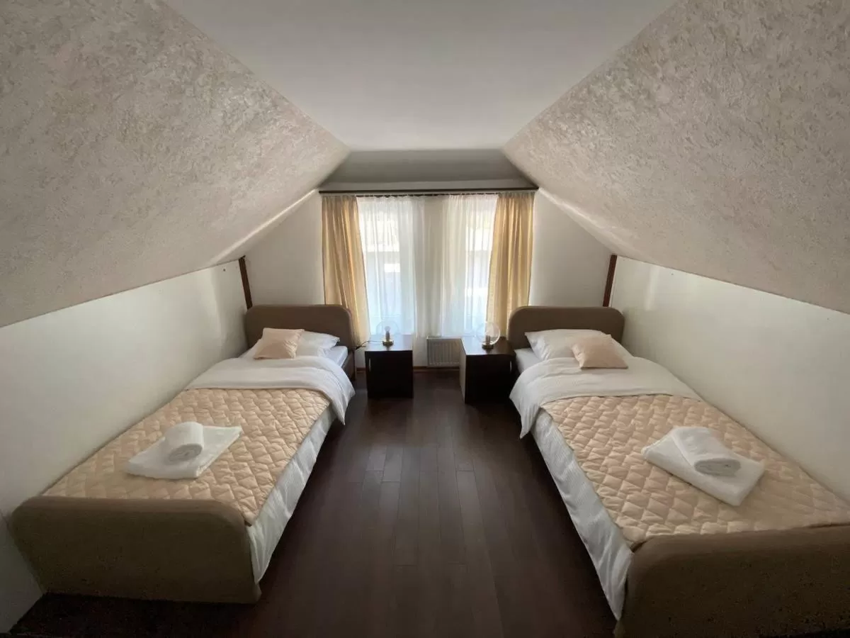 Duplex Apartment in Podrinjski san