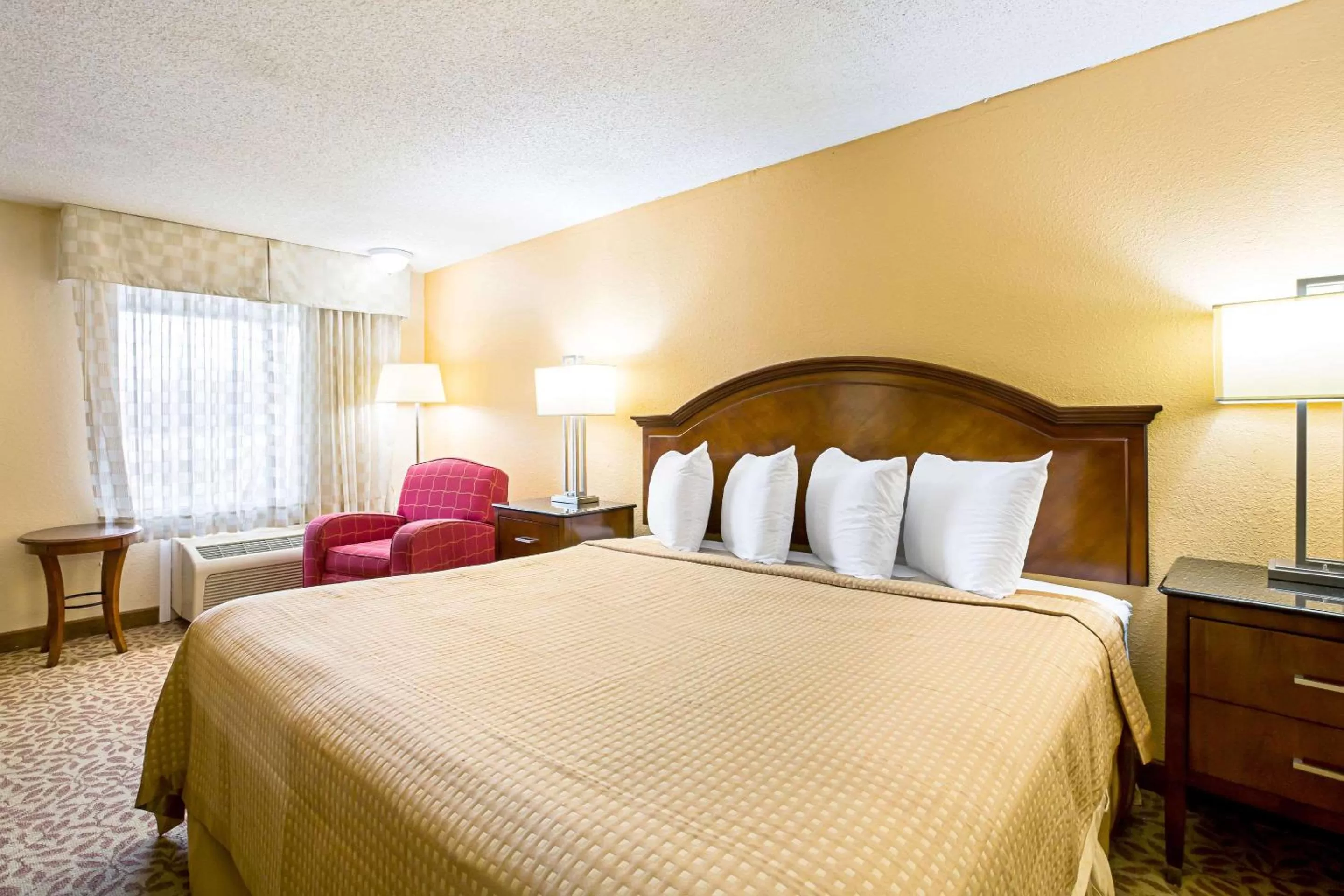 Photo of the whole room, Bed in Rodeway Inn Metro Airport