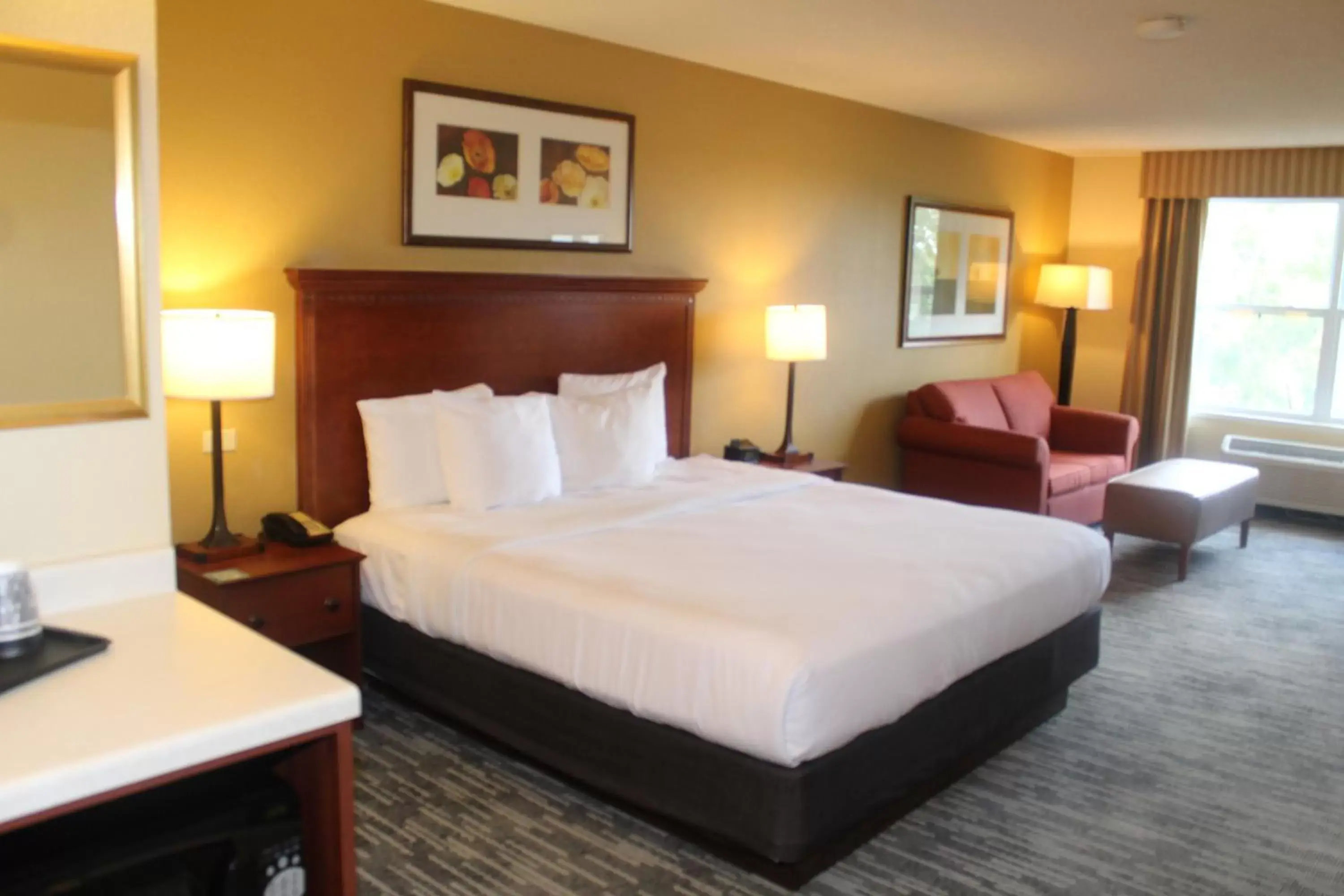 Photo of the whole room, Bed in Country Inn & Suites by Radisson, Crystal Lake, IL