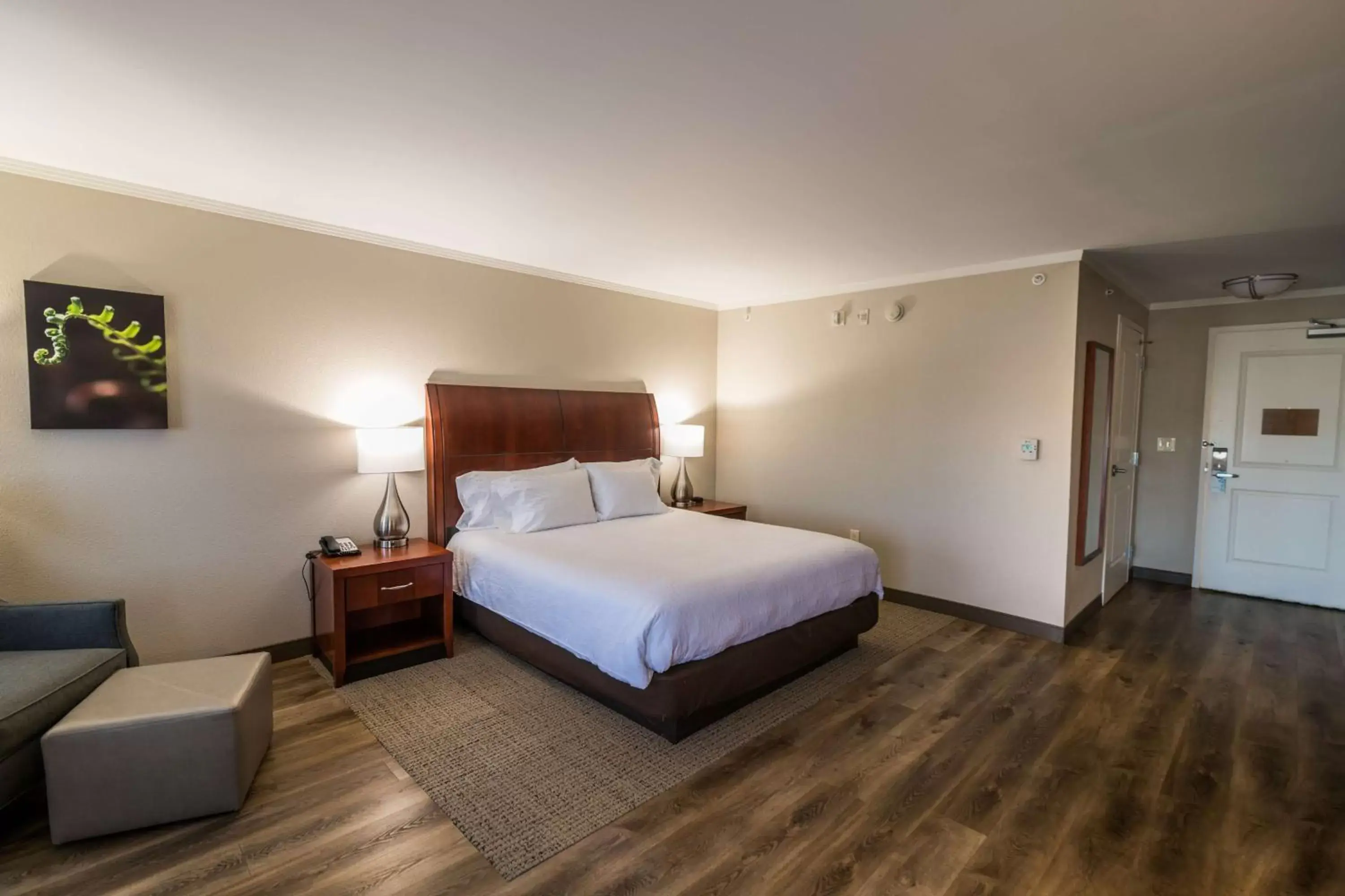 Living room, Bed in Hilton Garden Inn Bowling Green