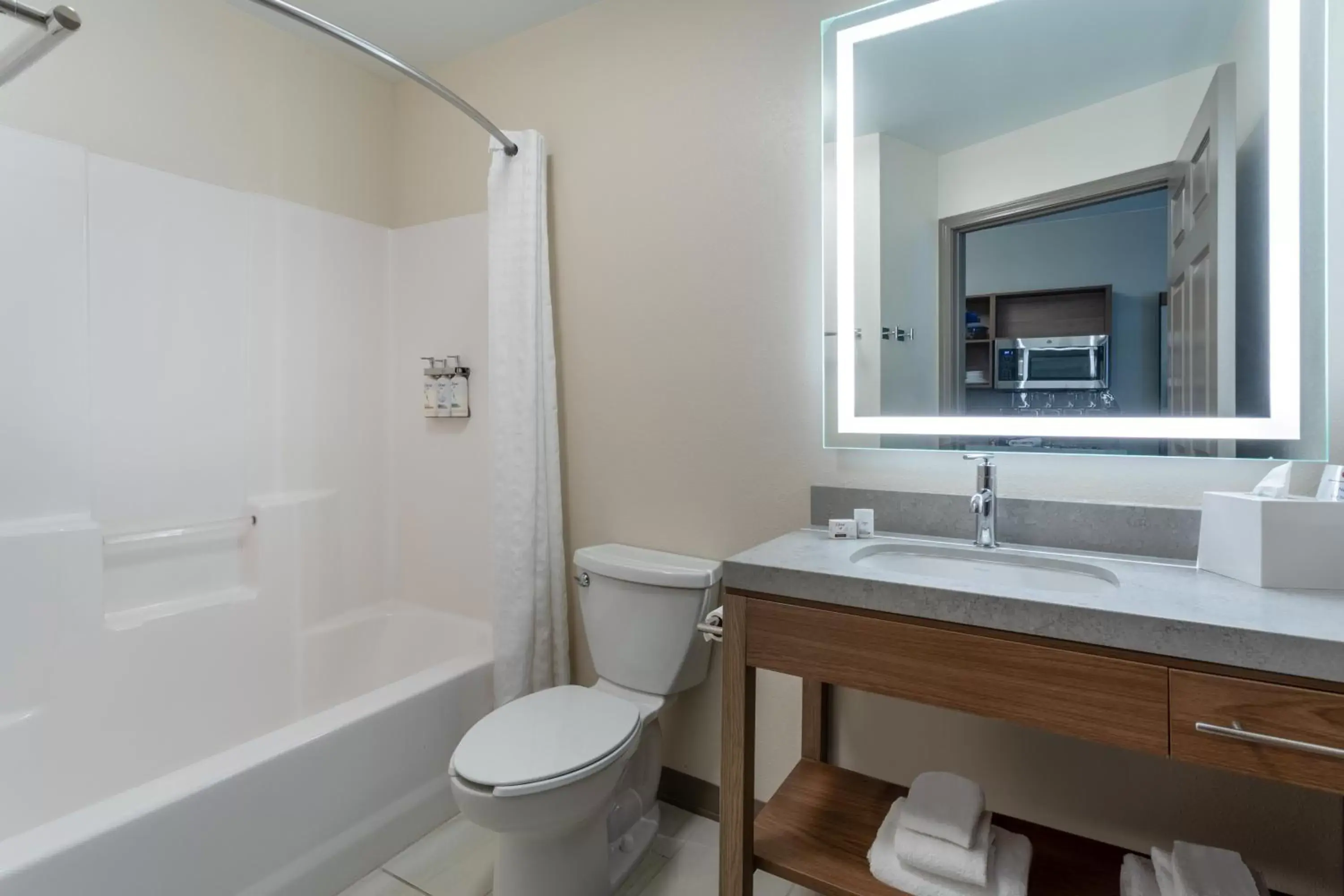 Bathroom in Candlewood Suites Grand Junction, an IHG Hotel