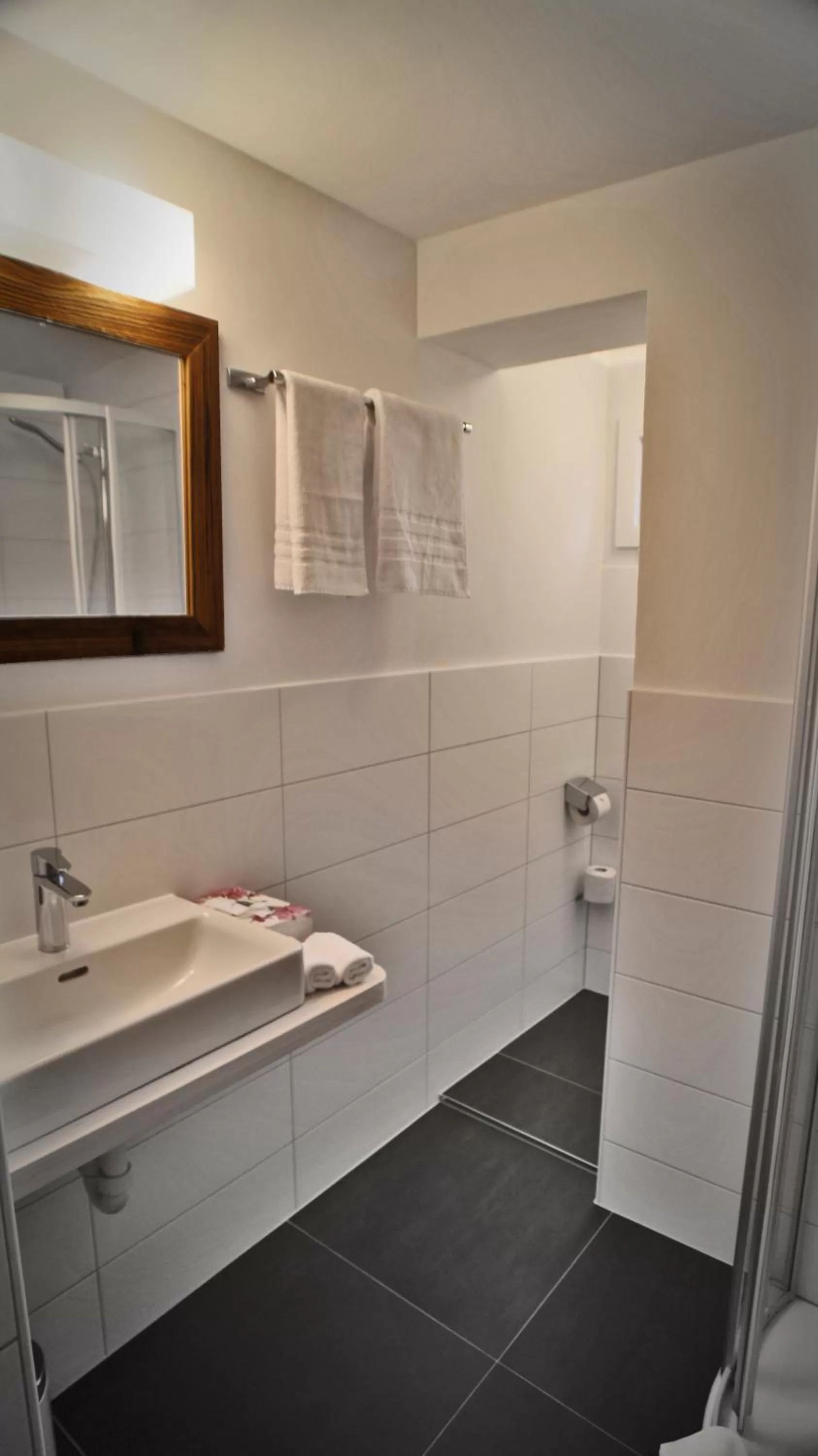 Shower in Hotel Wynegg