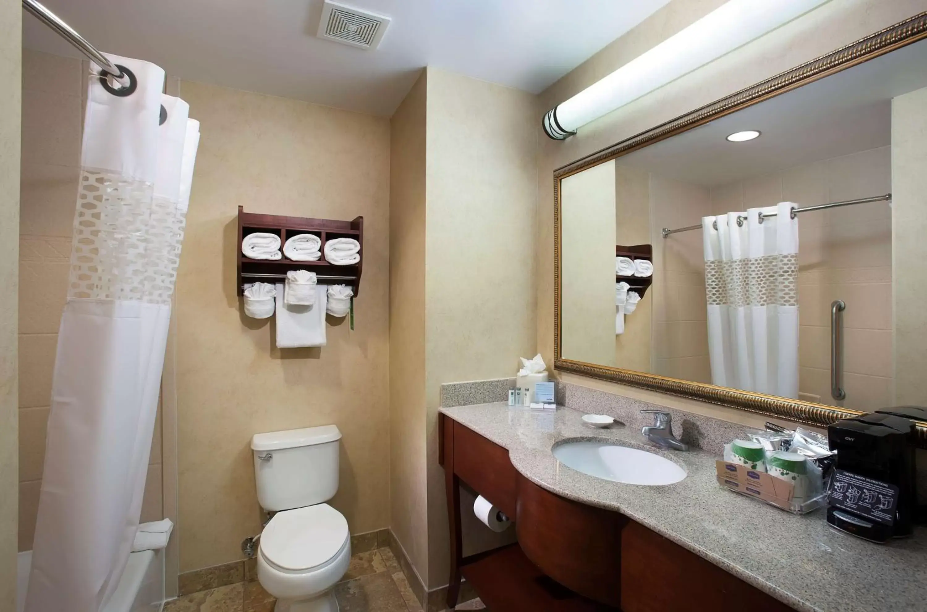 Bathroom in Hampton Inn Lake Buena Vista / Orlando