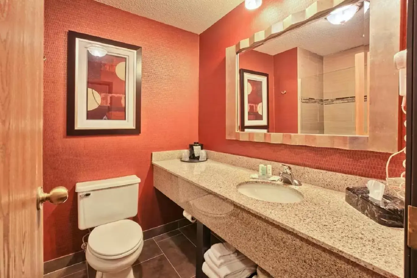 Bathroom in Comfort Inn & Suites and Conference Center