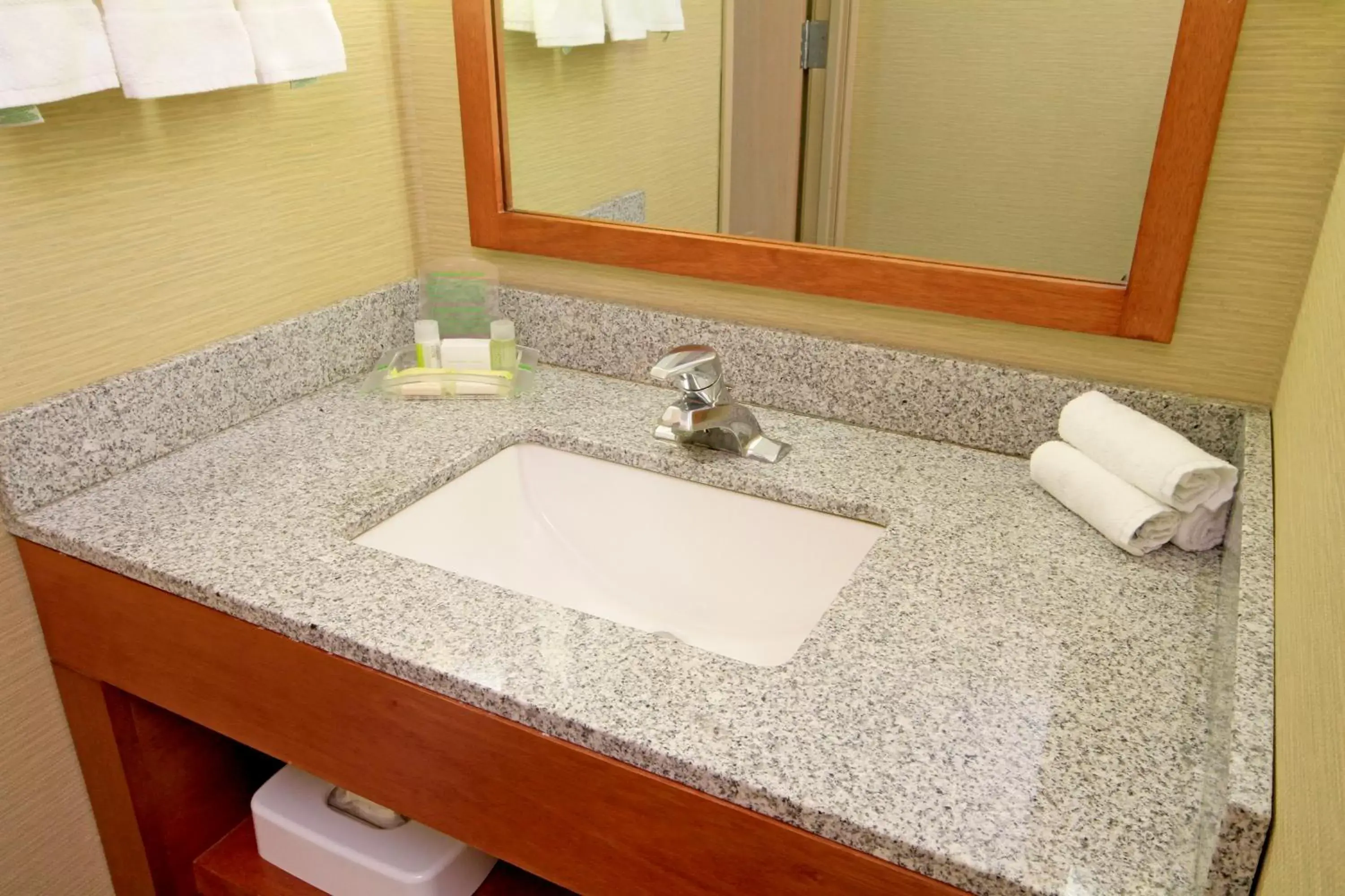 Photo of the whole room, Bathroom in Holiday Inn Monclova, an IHG Hotel