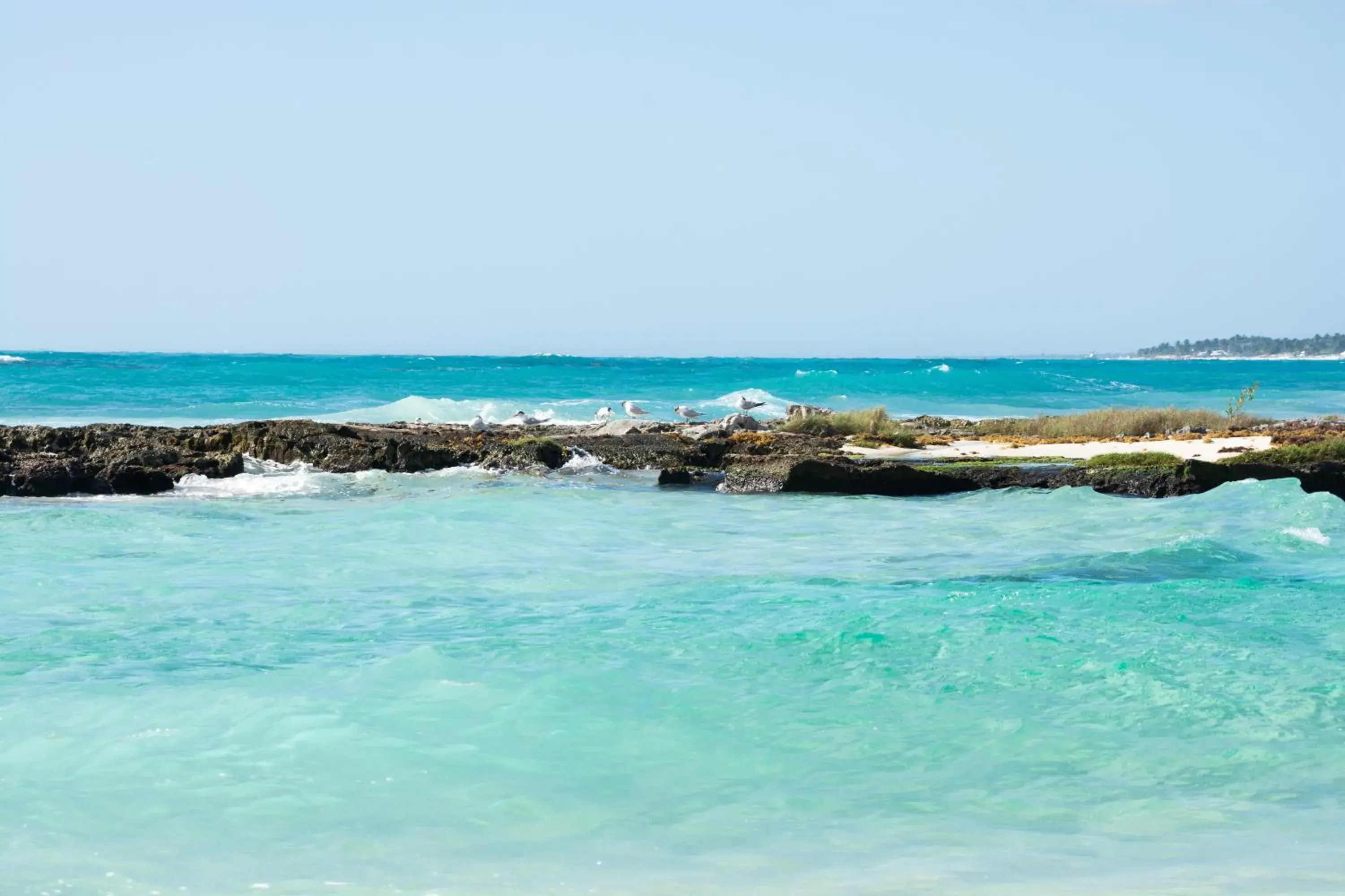 Natural landscape in Caleta Tankah