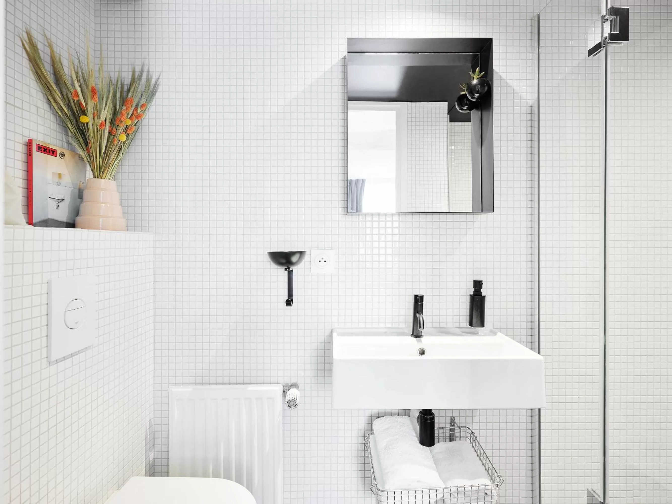 Bathroom in French Theory