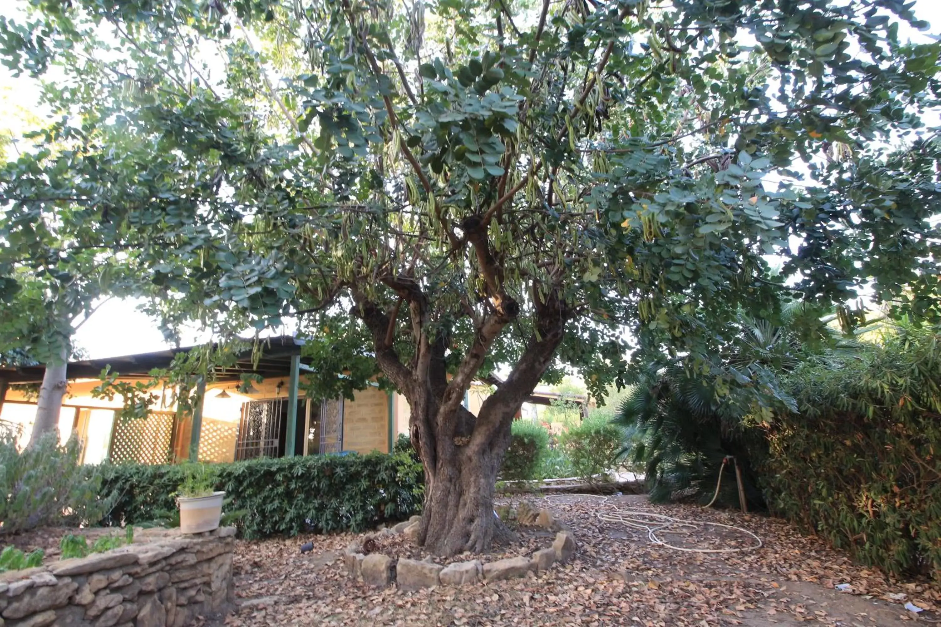 Garden in Villa Carlotta Resort