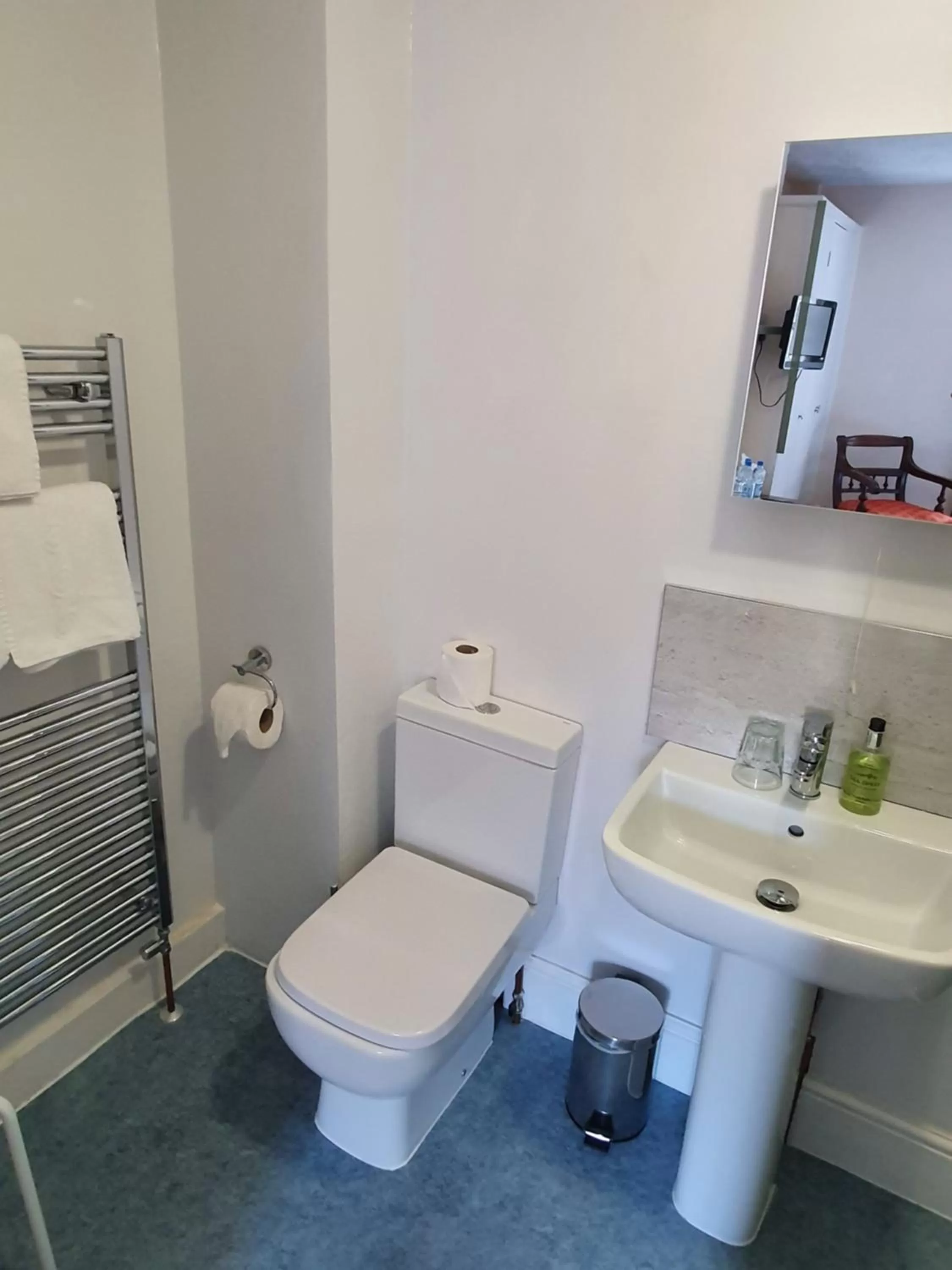 Toilet in Alexandra Hotel