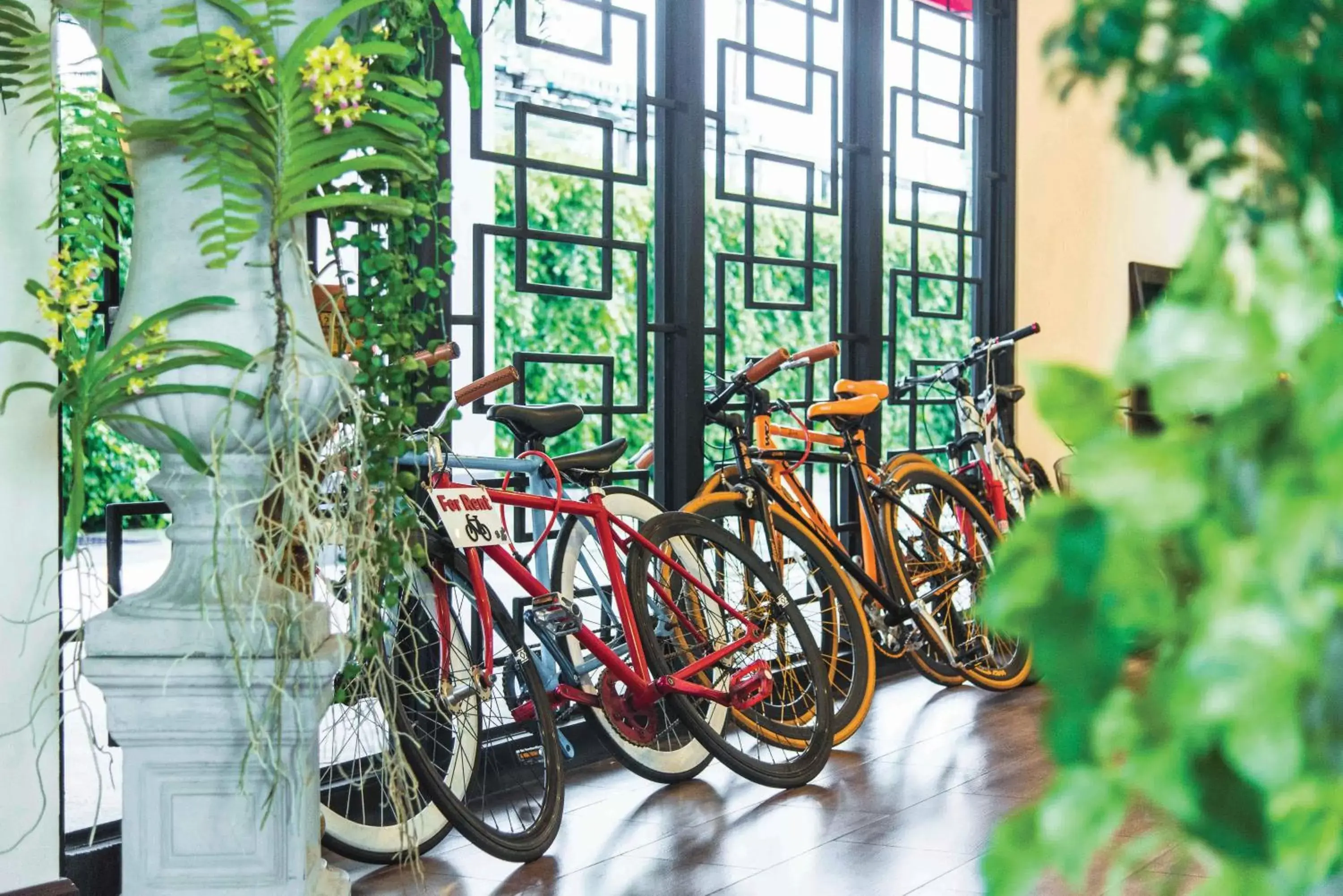 Cycling in The Bridge Residence Hotel