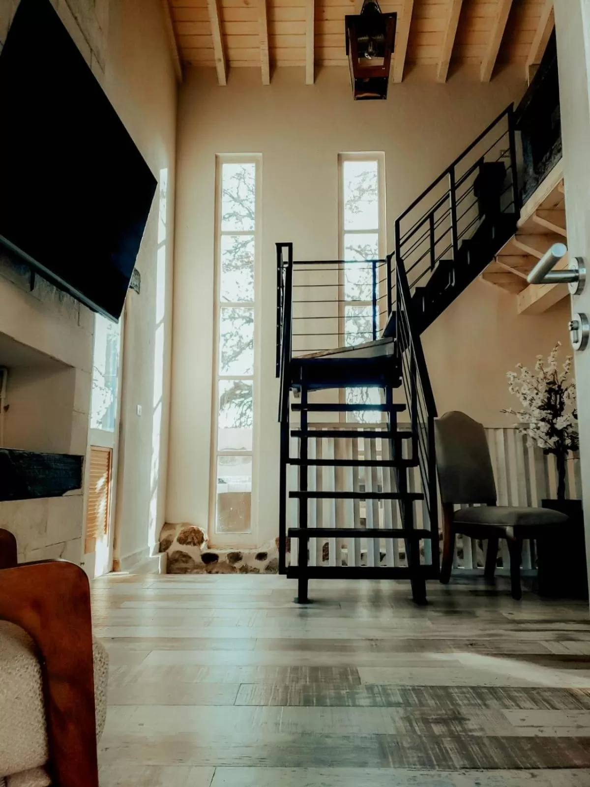 TV and multimedia in Suites Campestres Montebello