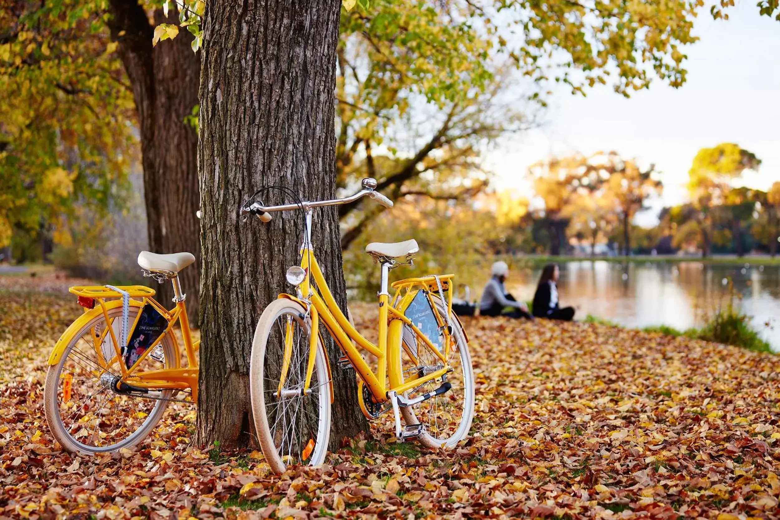 Cycling, Other Activities in Mercure Bendigo Schaller