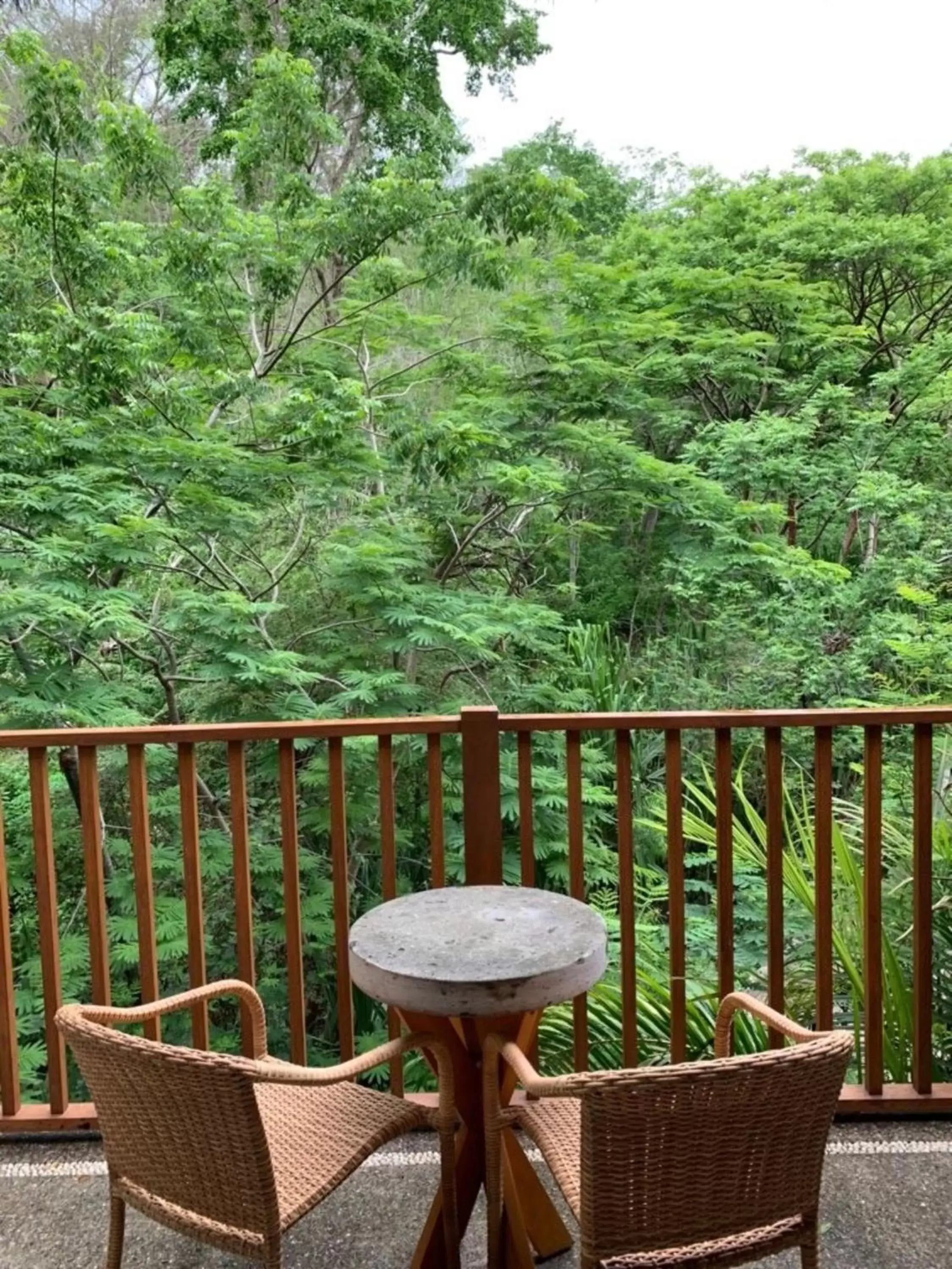 View (from property/room), Balcony/Terrace in Delta Hotels by Marriott Riviera Nayarit, an All-Inclusive Resort