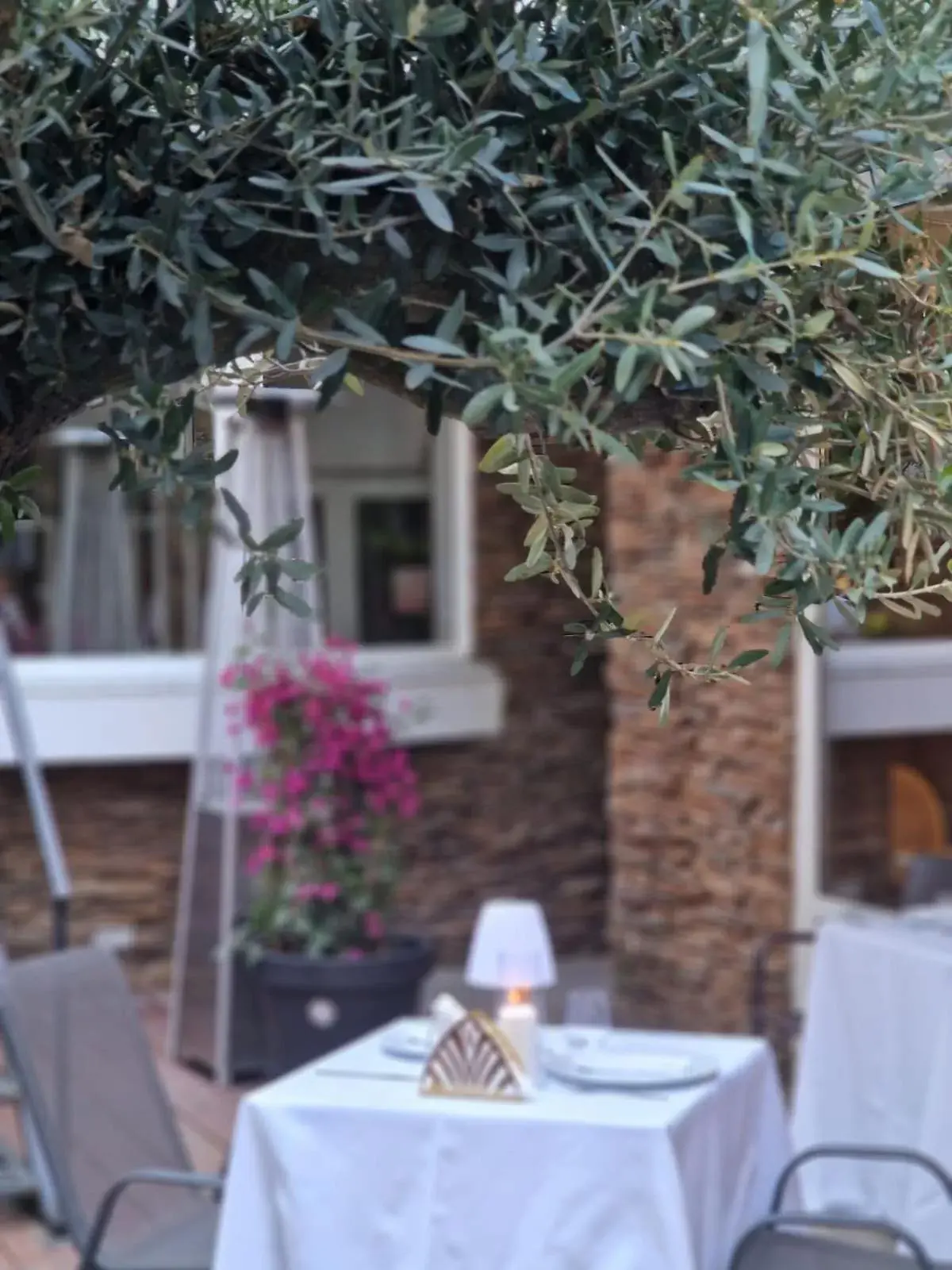 Garden, Restaurant/Places to Eat in Hotel Carpathia