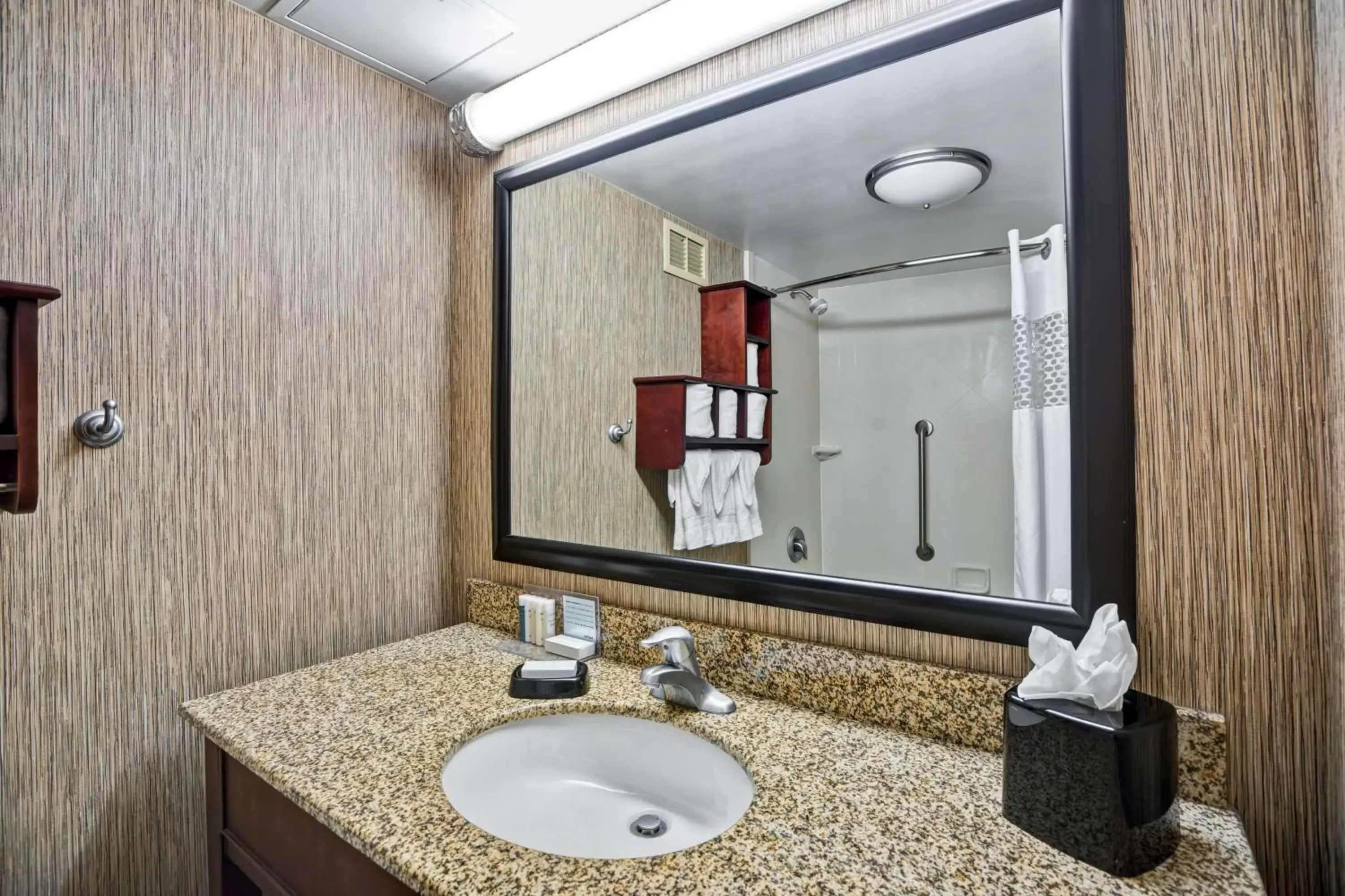 Bathroom in Hampton Inn Scranton at Montage Mountain