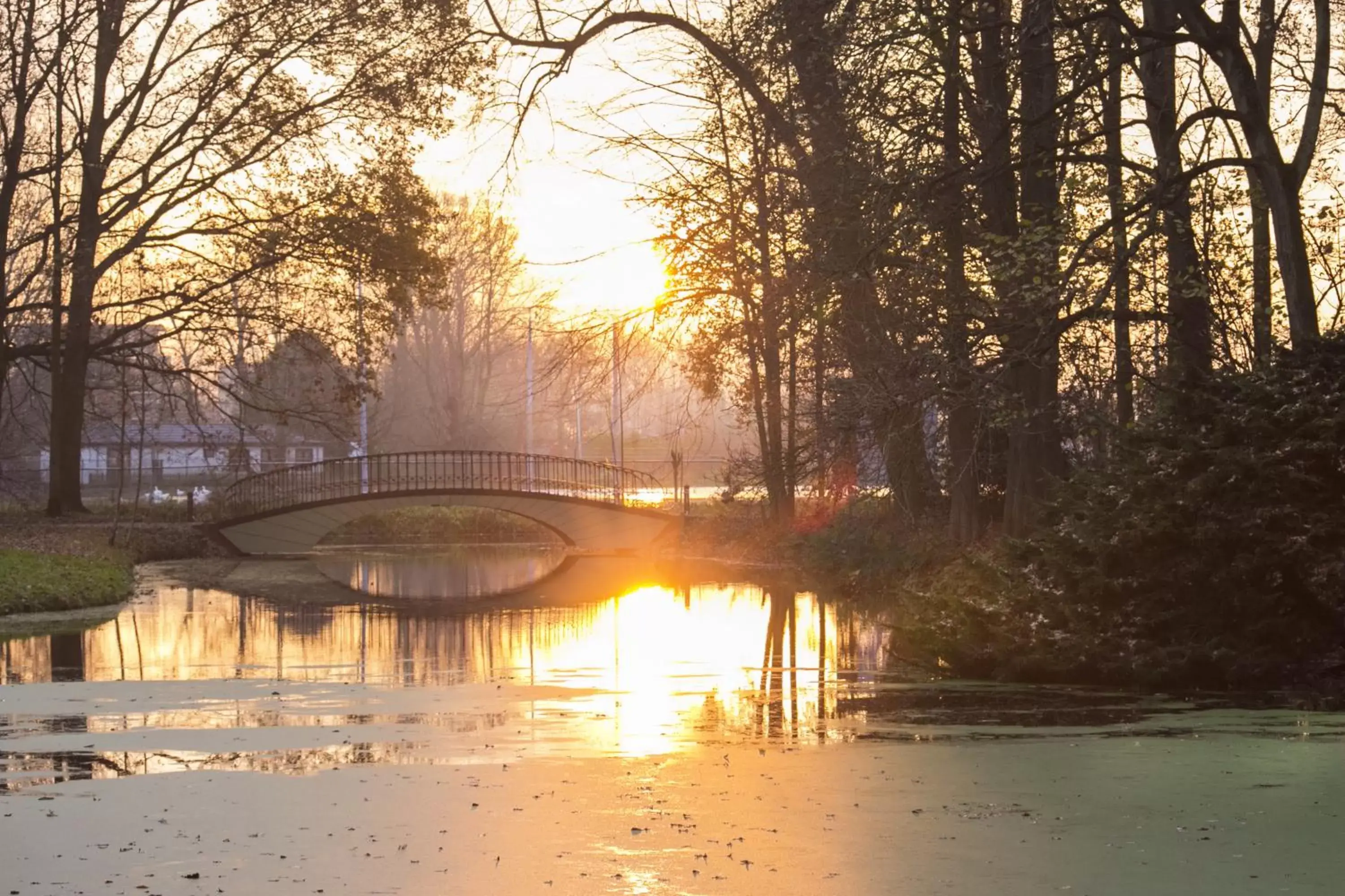 Garden view, Sunrise/Sunset in Landgoed Oud Poelgeest - Leiden