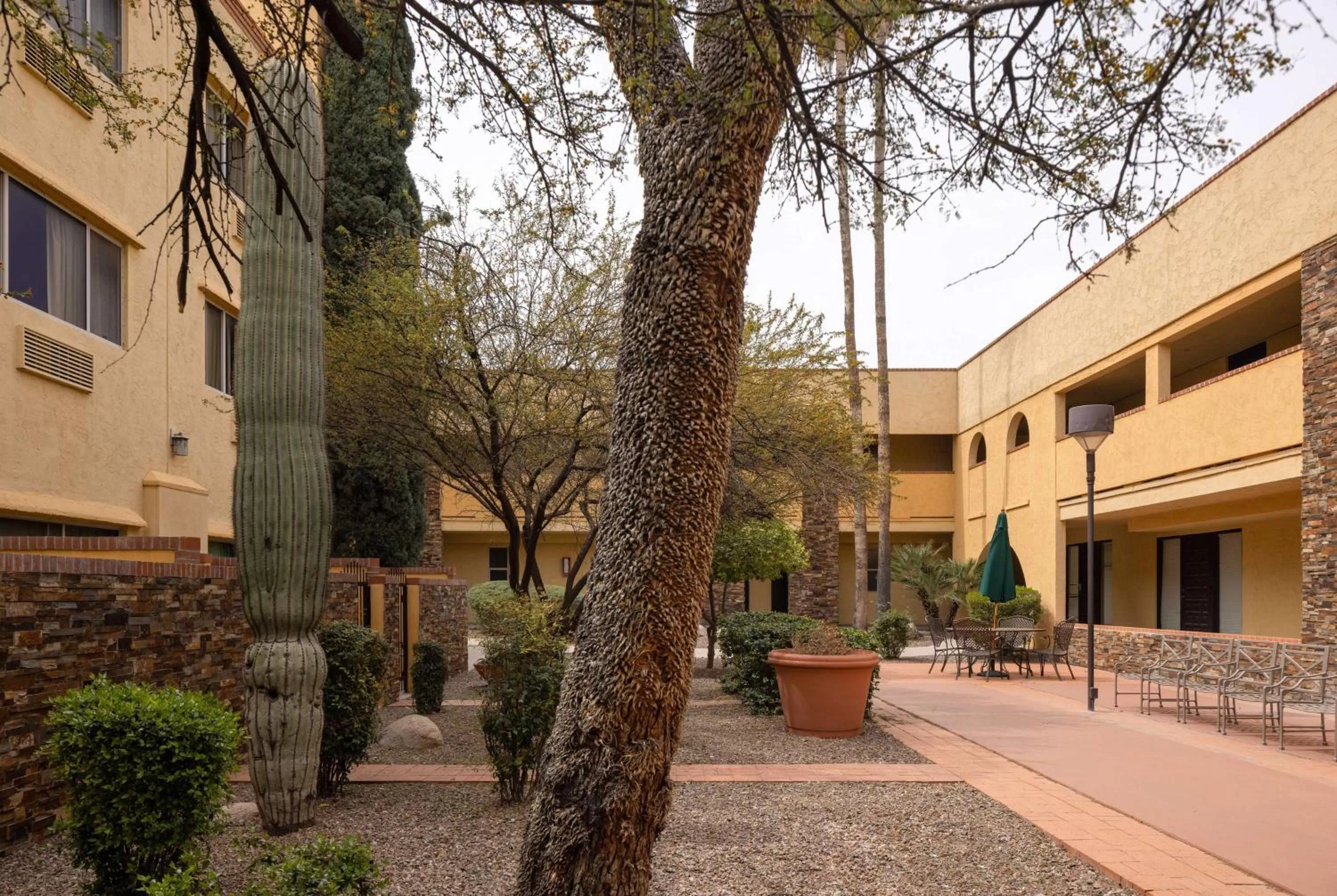 Inner courtyard view in La Quinta by Wyndham Tucson - Reid Park