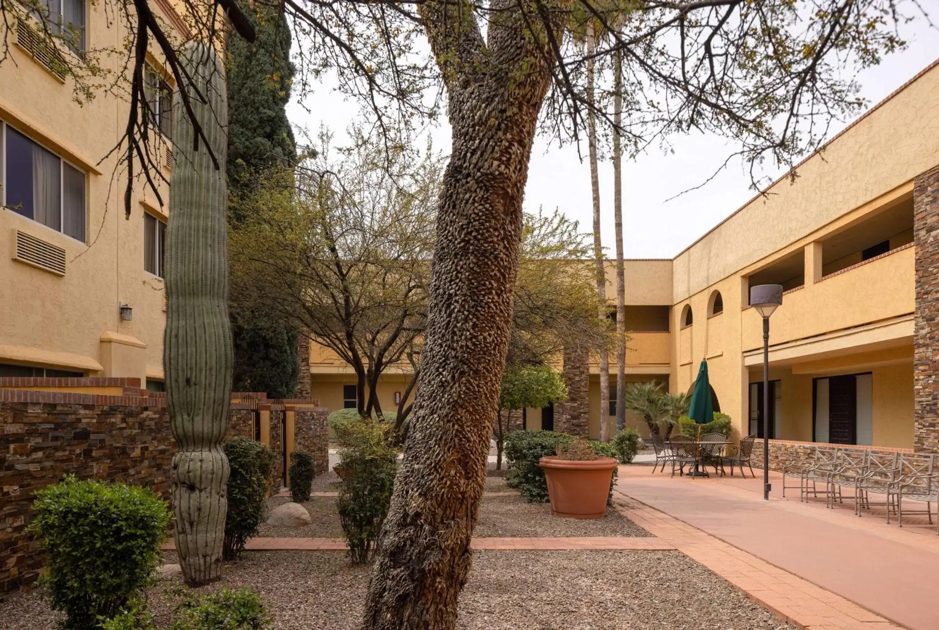 Inner courtyard view, Property Building in La Quinta by Wyndham Tucson - Reid Park