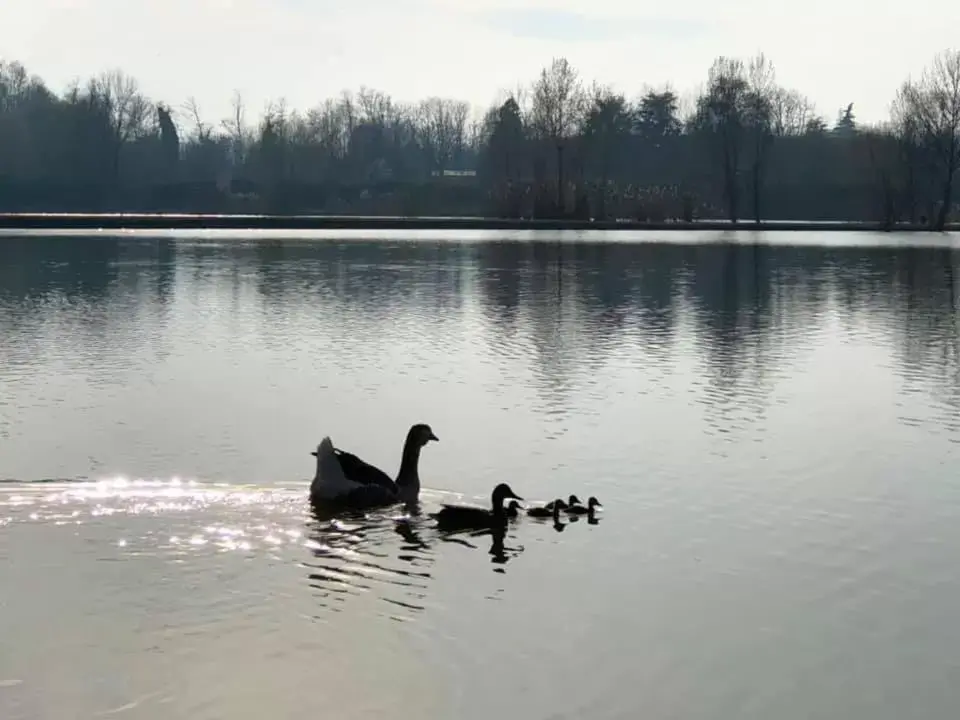 Fishing, Other Animals in La Casa di Valeria - Modena