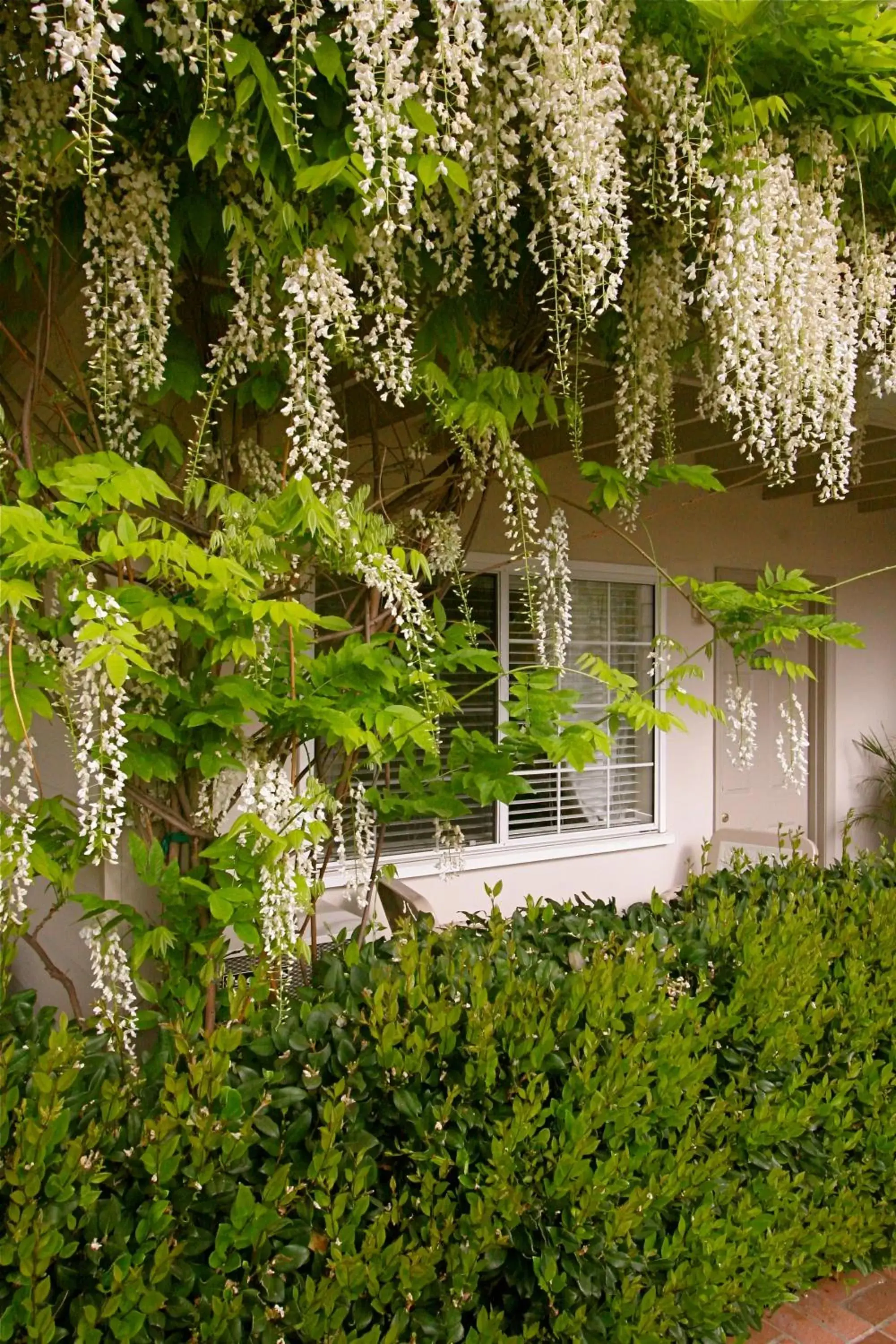 Decorative detail, Property Building in The Tides Laguna Beach