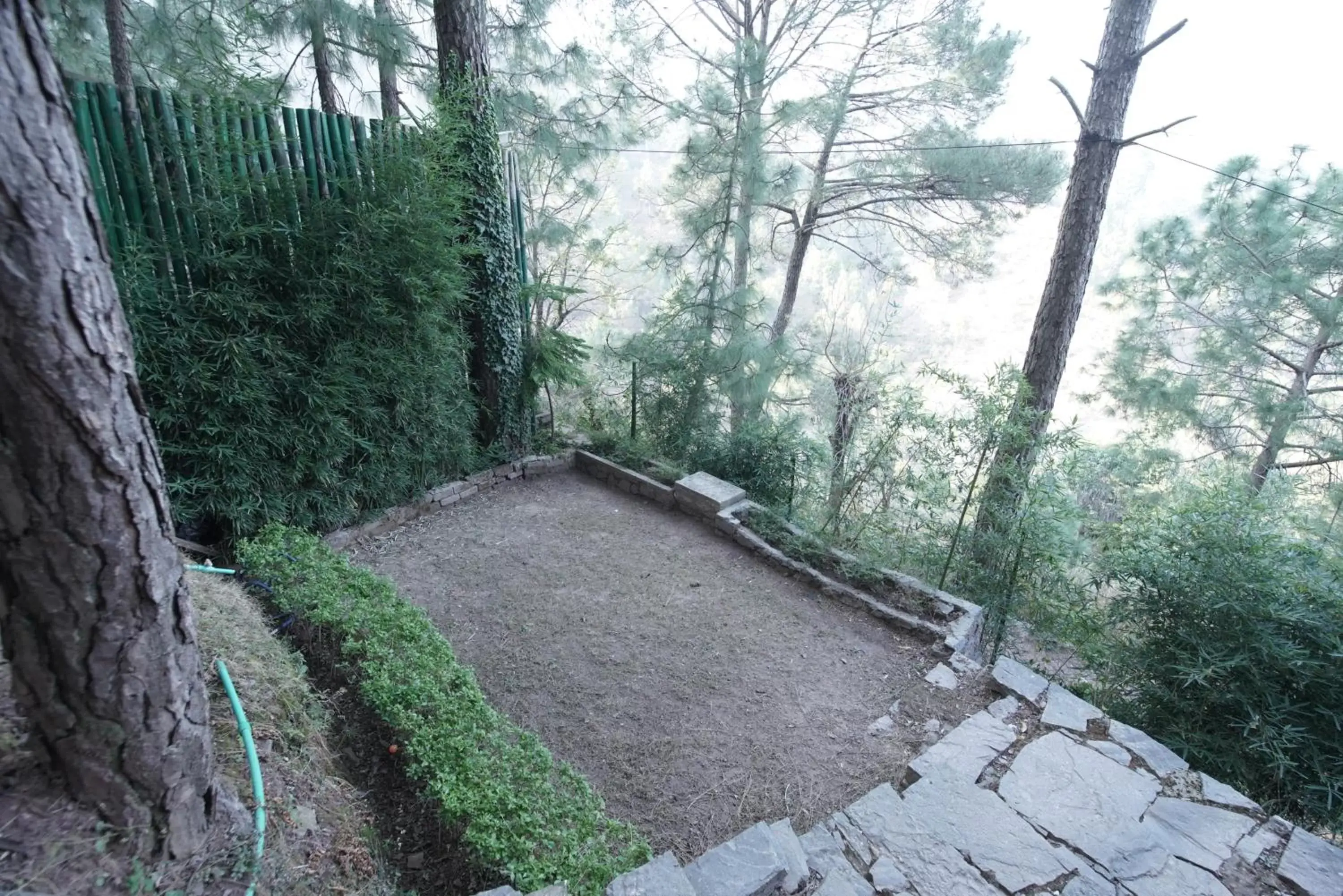 Balcony/Terrace in Kasauli Hills Resort