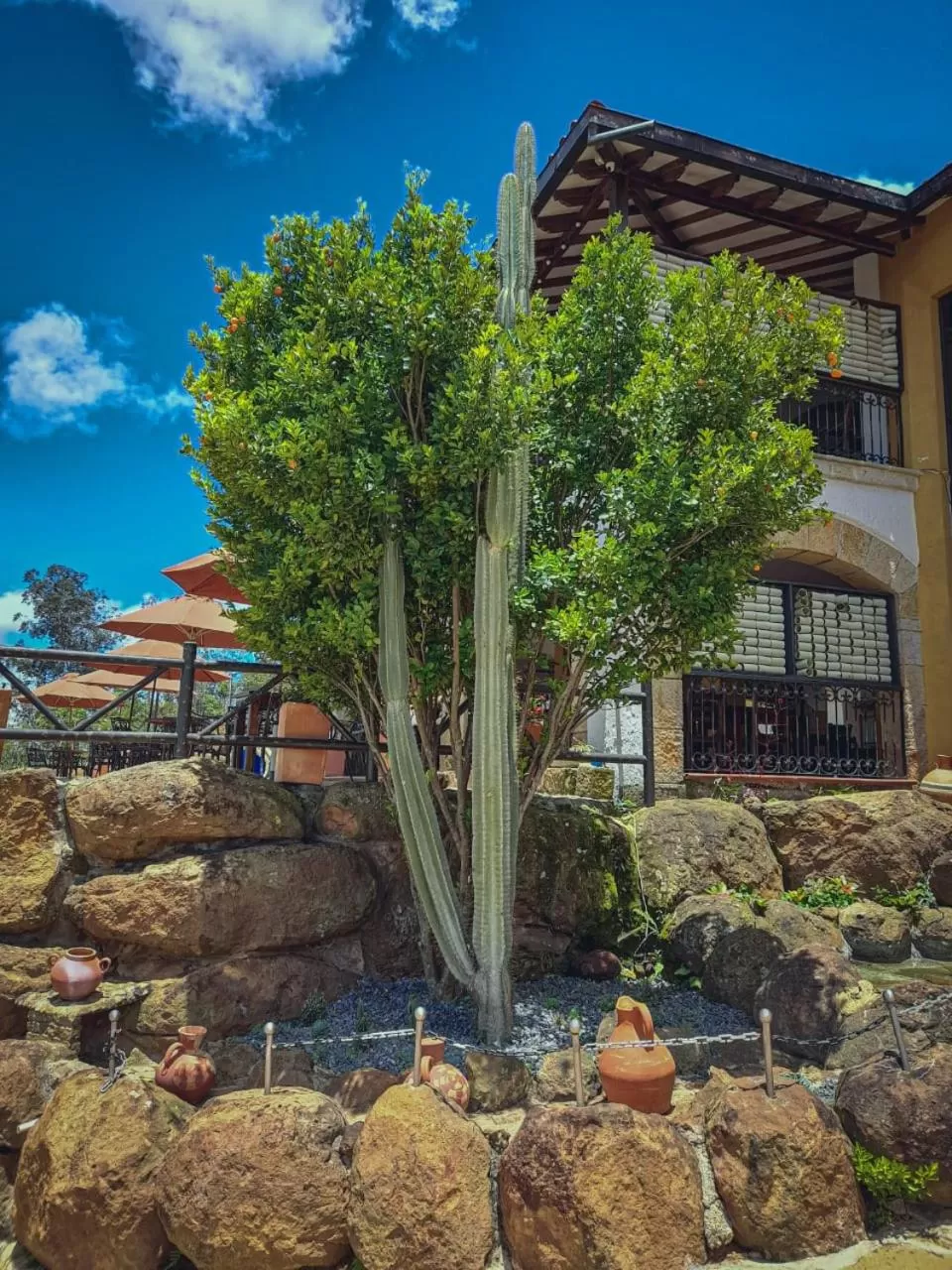 Property building in Hotel Las Rocas Resort Villanueva