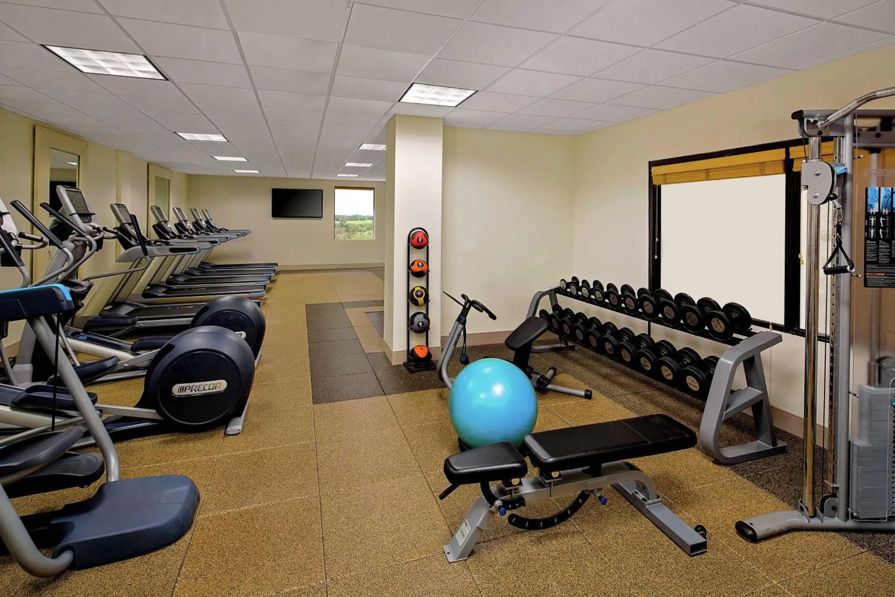 Fitness centre/facilities in Hilton Ocala Fitness centre/facilities in Hilton Ocala