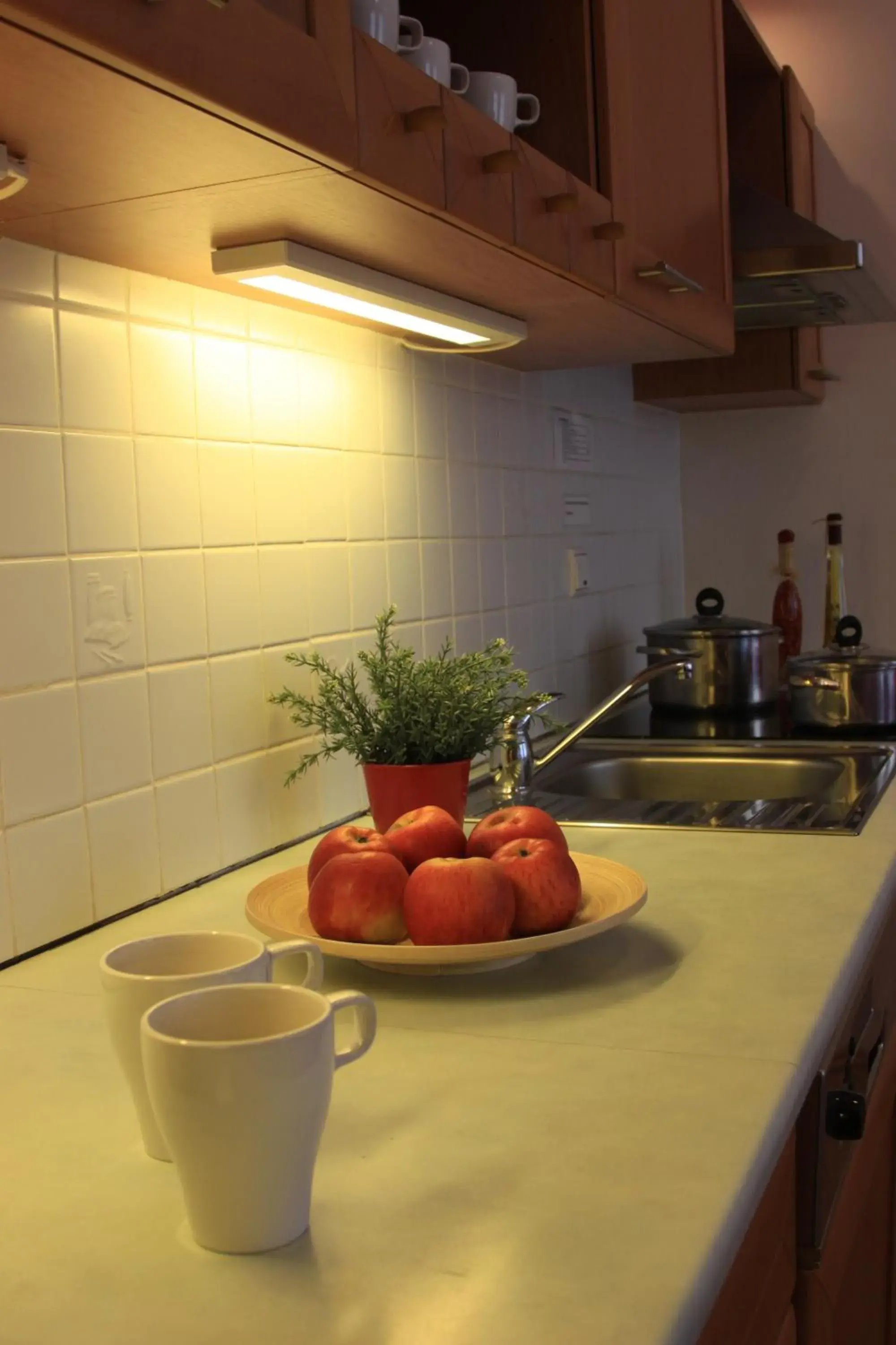 Kitchen or kitchenette, Kitchen/Kitchenette in Prague Central Residence