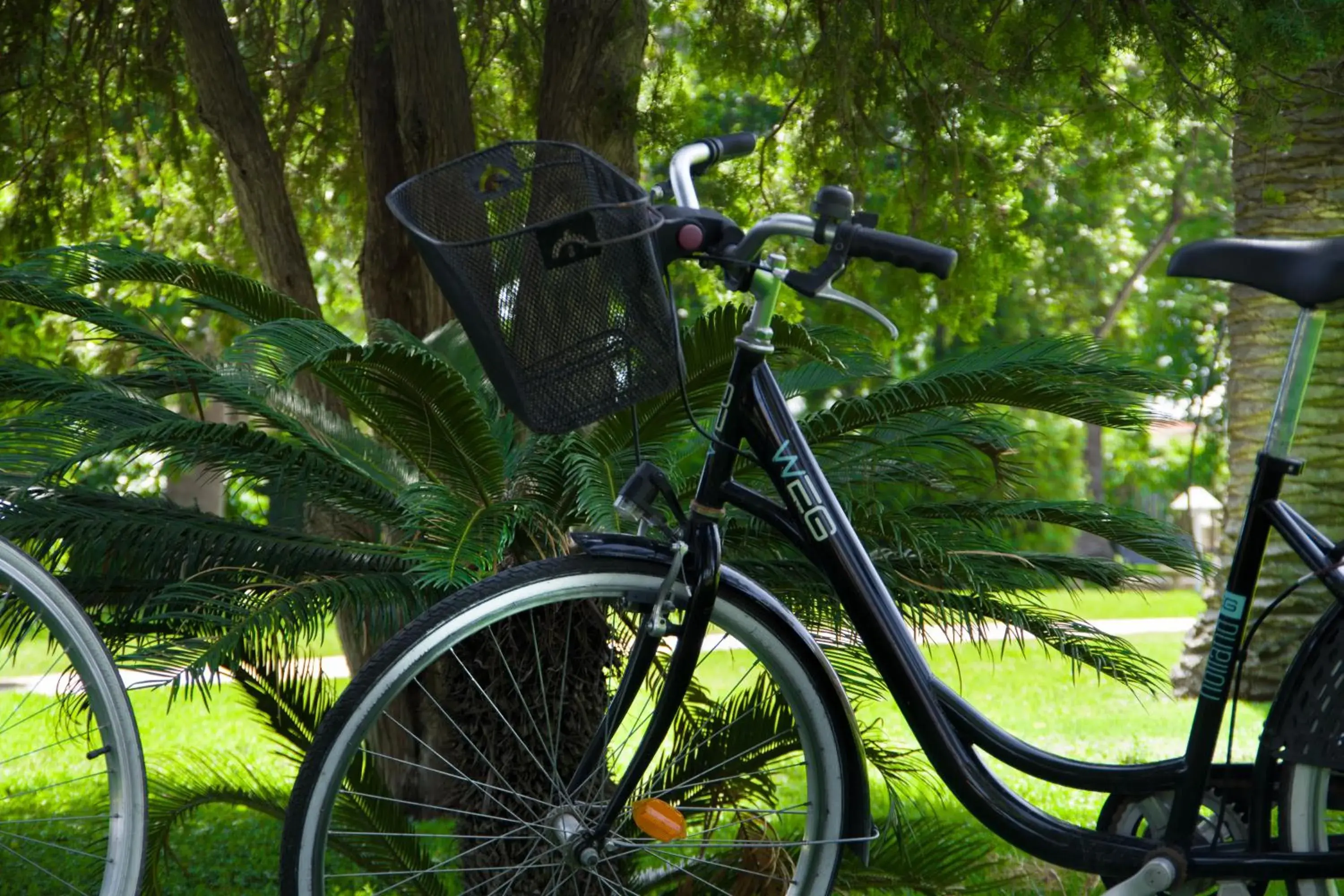 Cycling, Biking in Hotel Caiammari