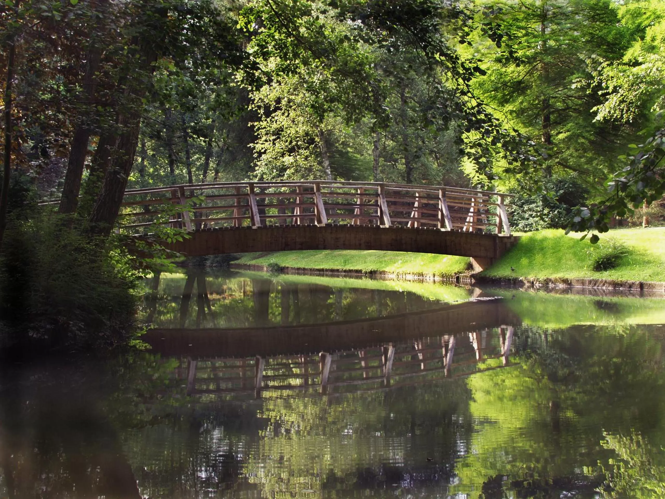 Natural landscape in Elegans Hotel Brdo