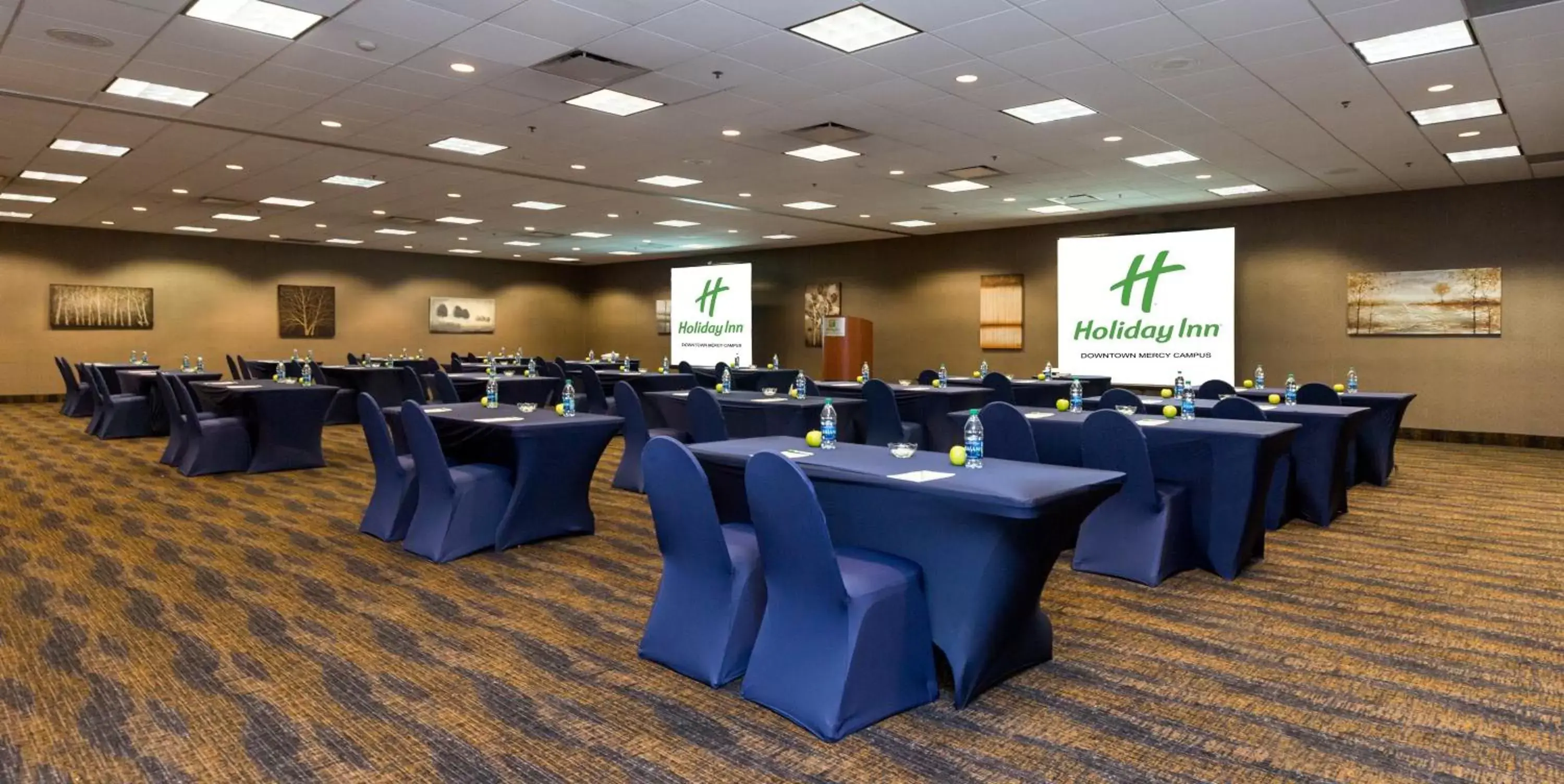 Meeting/conference room in Holiday Inn Des Moines-Downtown-Mercy Campus, an IHG Hotel