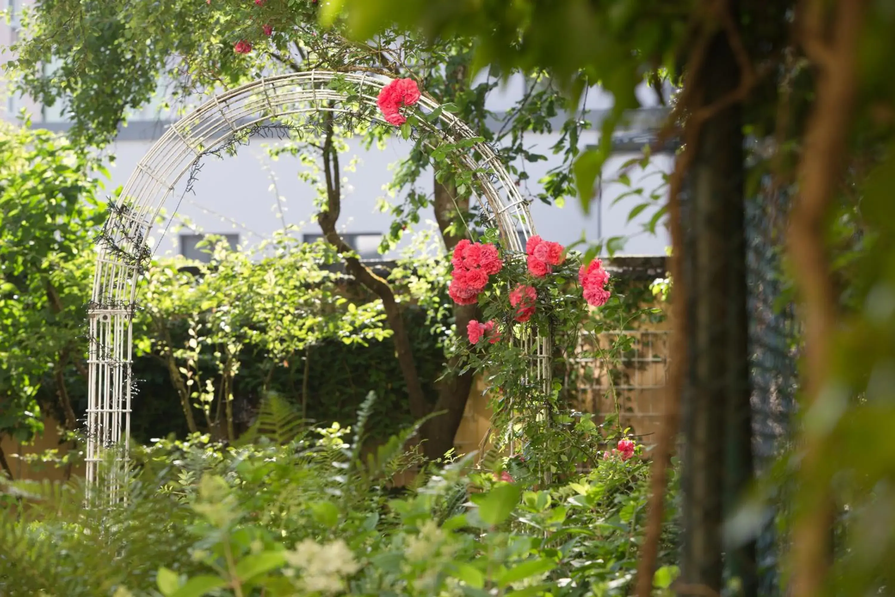 Garden in Aurbacher Hotel