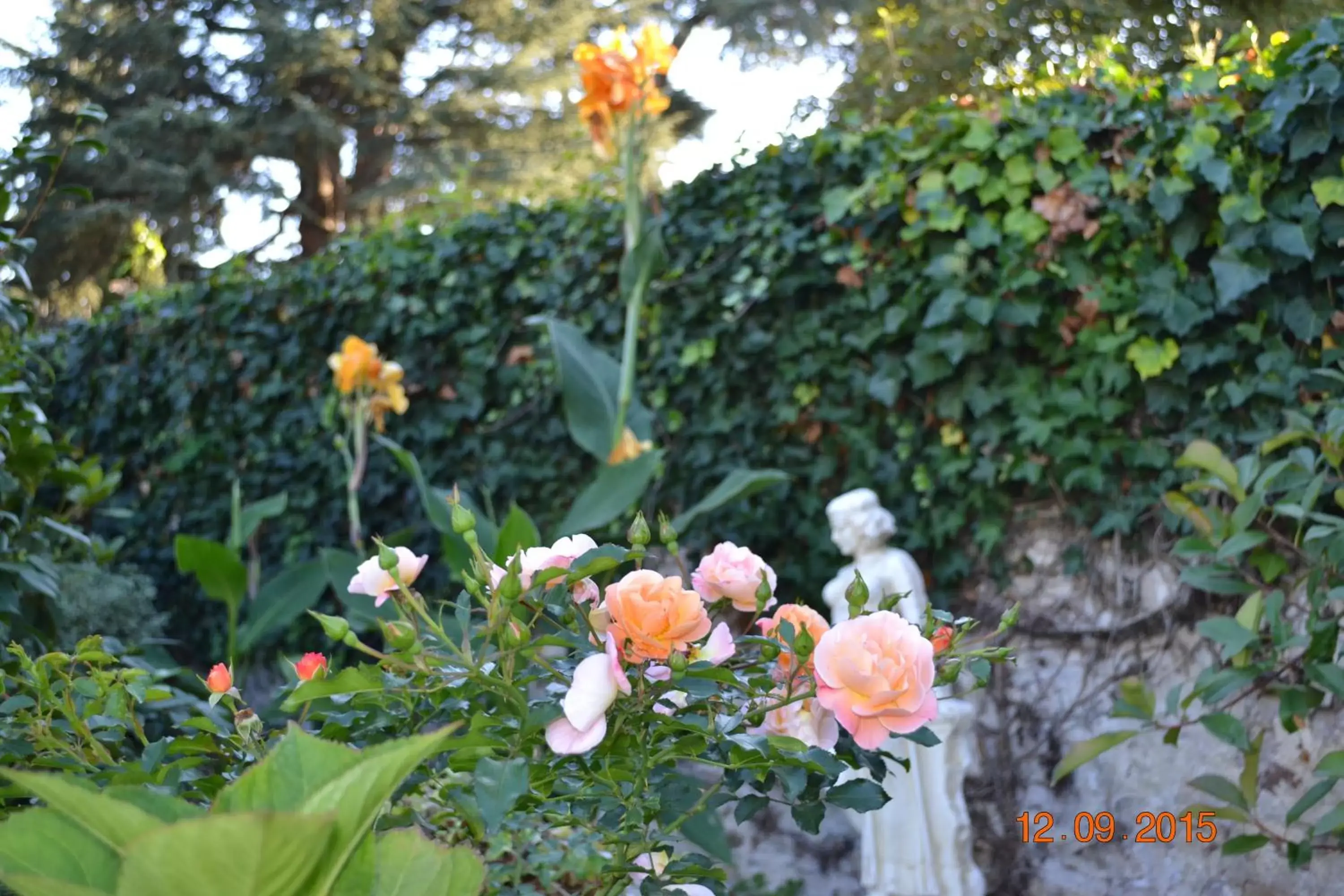 Garden in Hôtel Le Castel