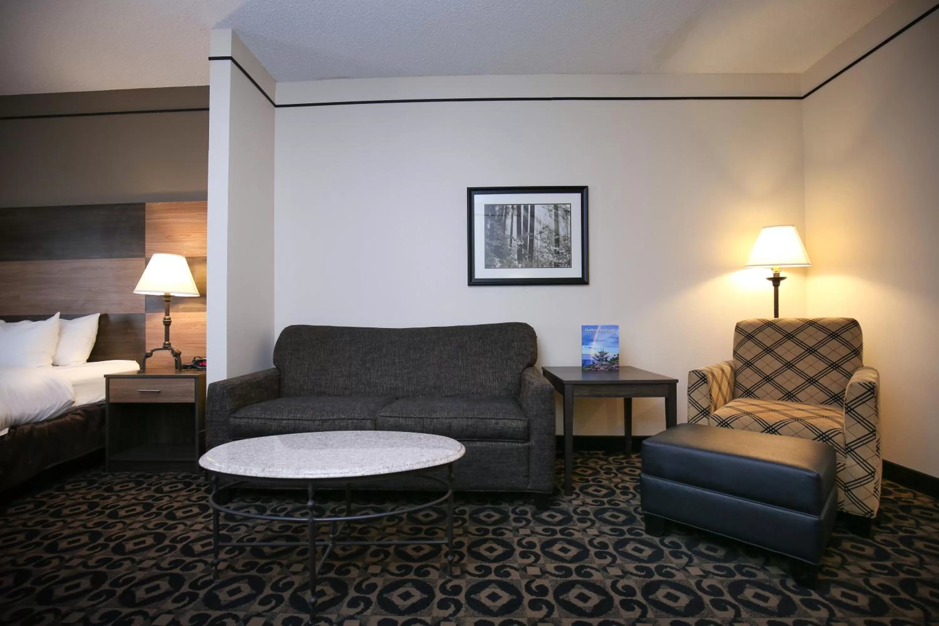 Living room, Bed in Quality Inn & Suites Boone - University Area