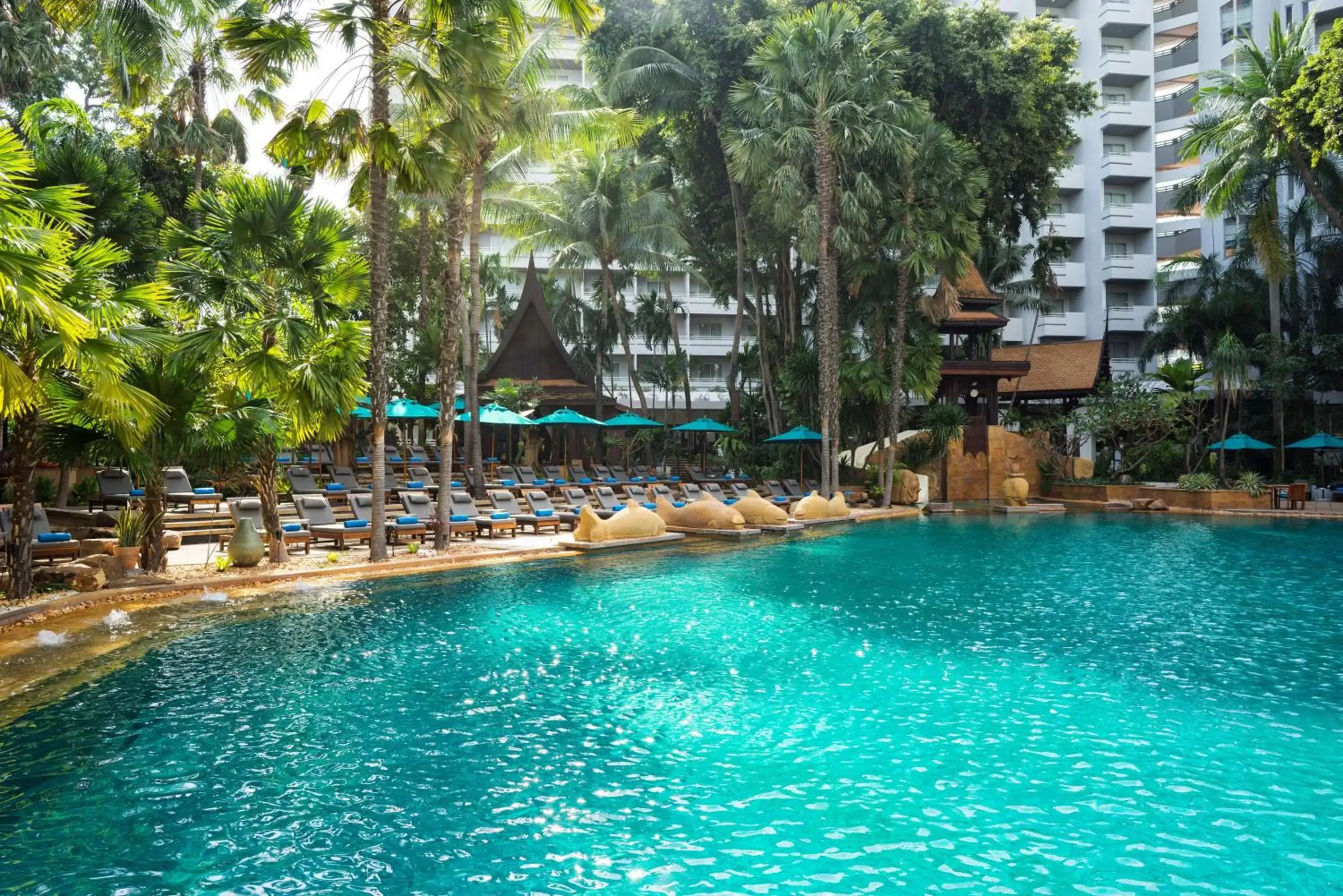 Pool view, Swimming Pool in Avani Pattaya Resort