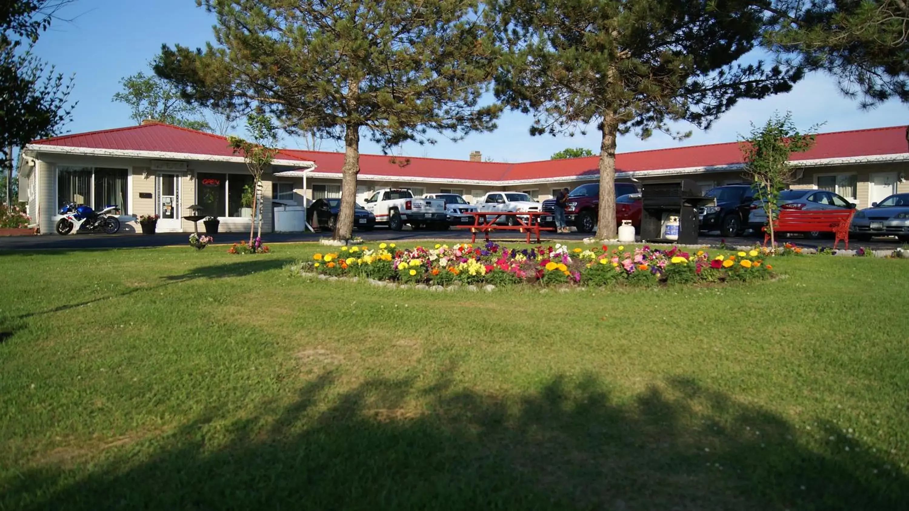 Natural landscape, Garden in Blue Jay Motel