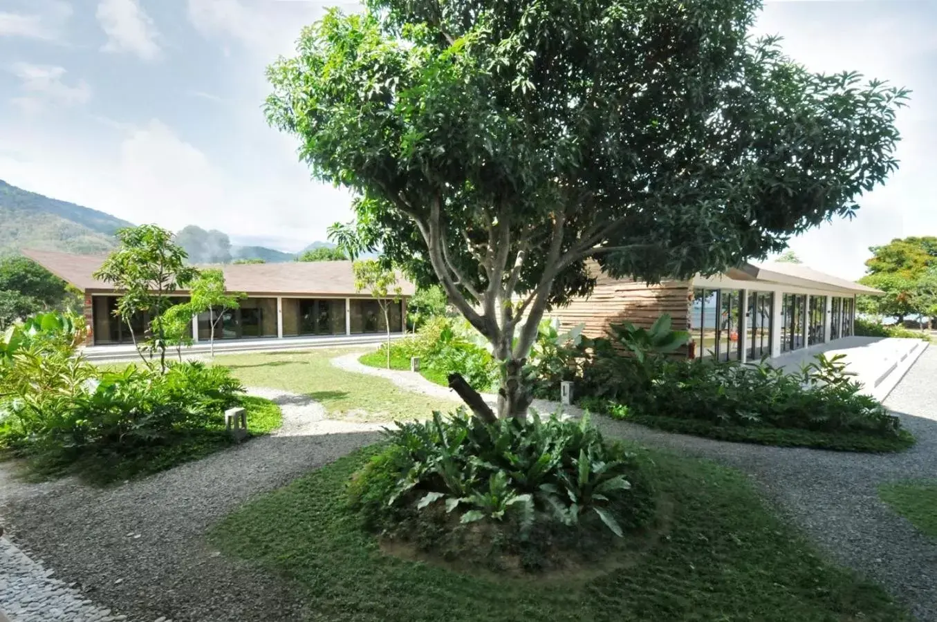 Garden, Property Building in Astoria Palawan